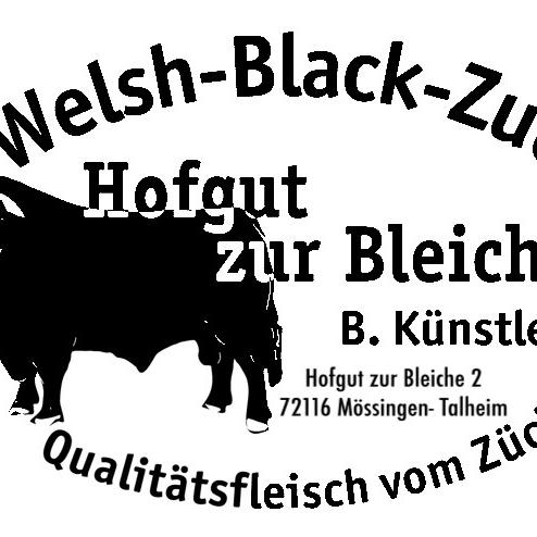 Welsh Black Zucht    Benjamin Künstle