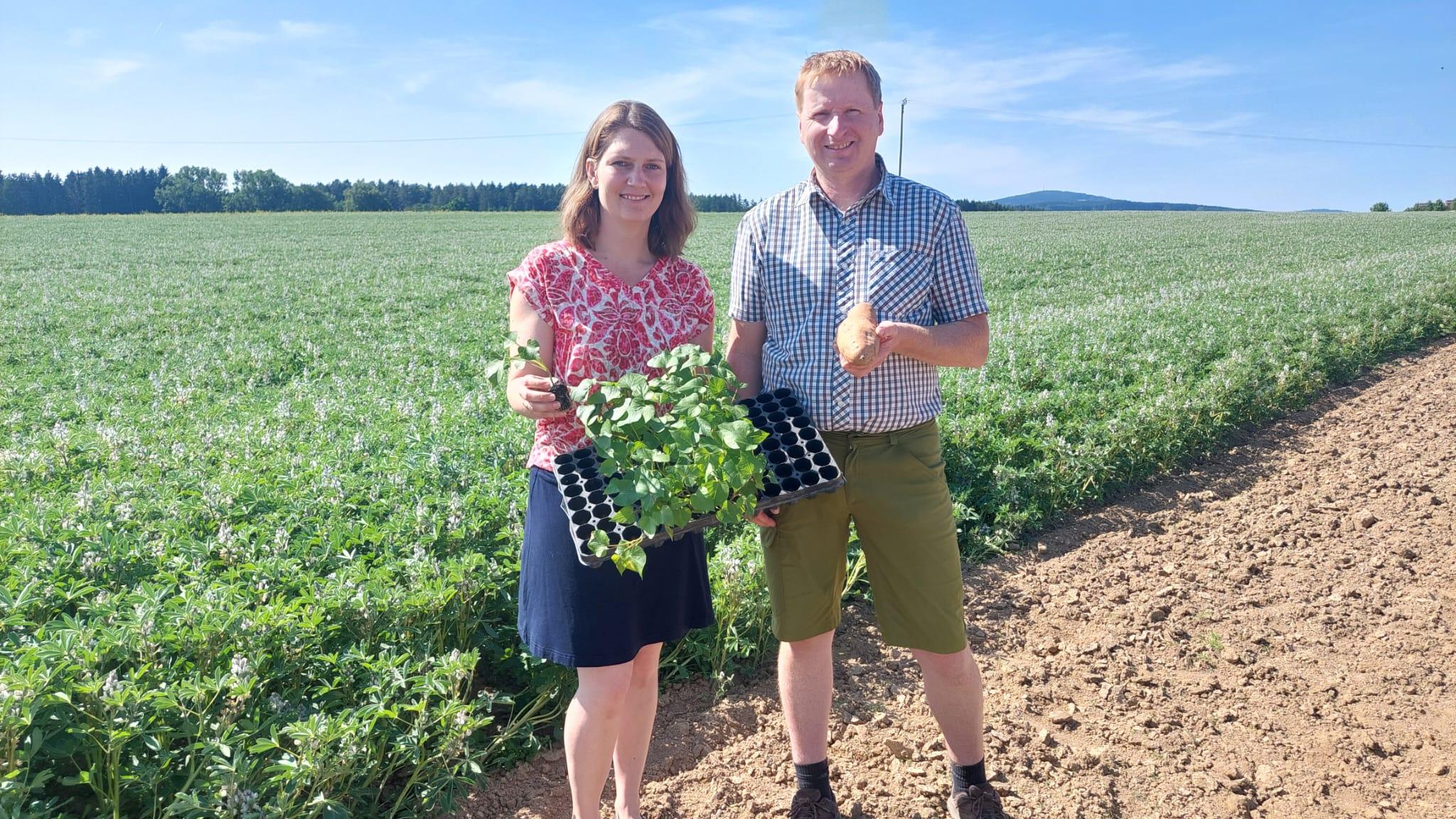Landwirtschaftsbetrieb Dietl