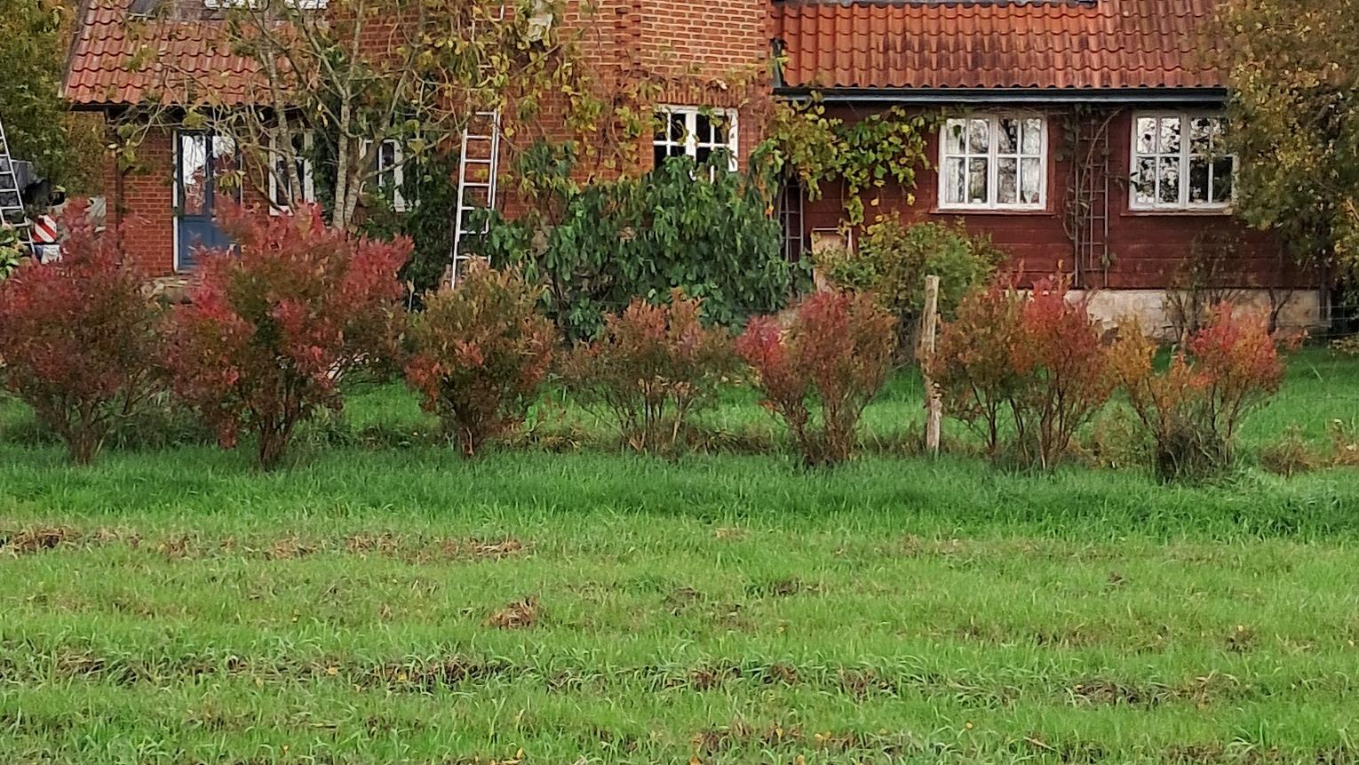 Biohof Strückhausen eG