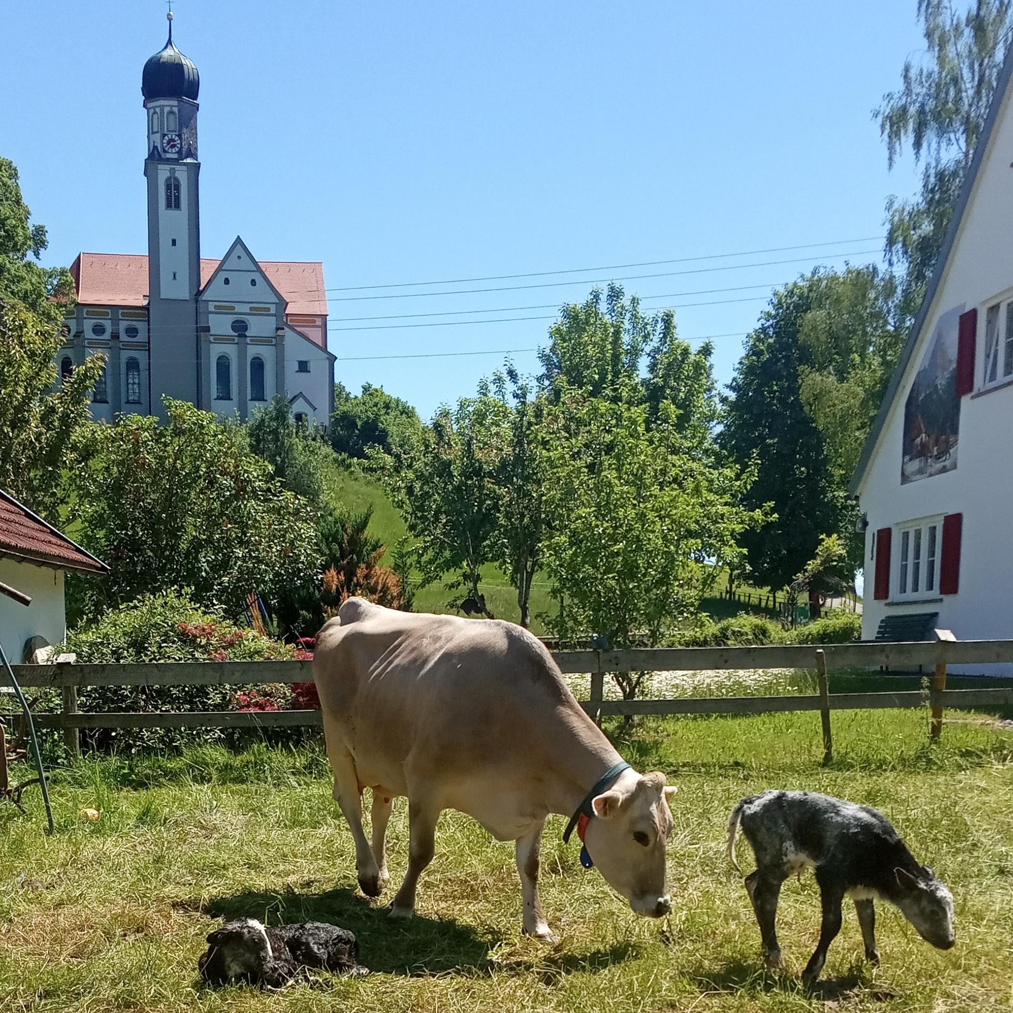 Bioland-Hof Filser