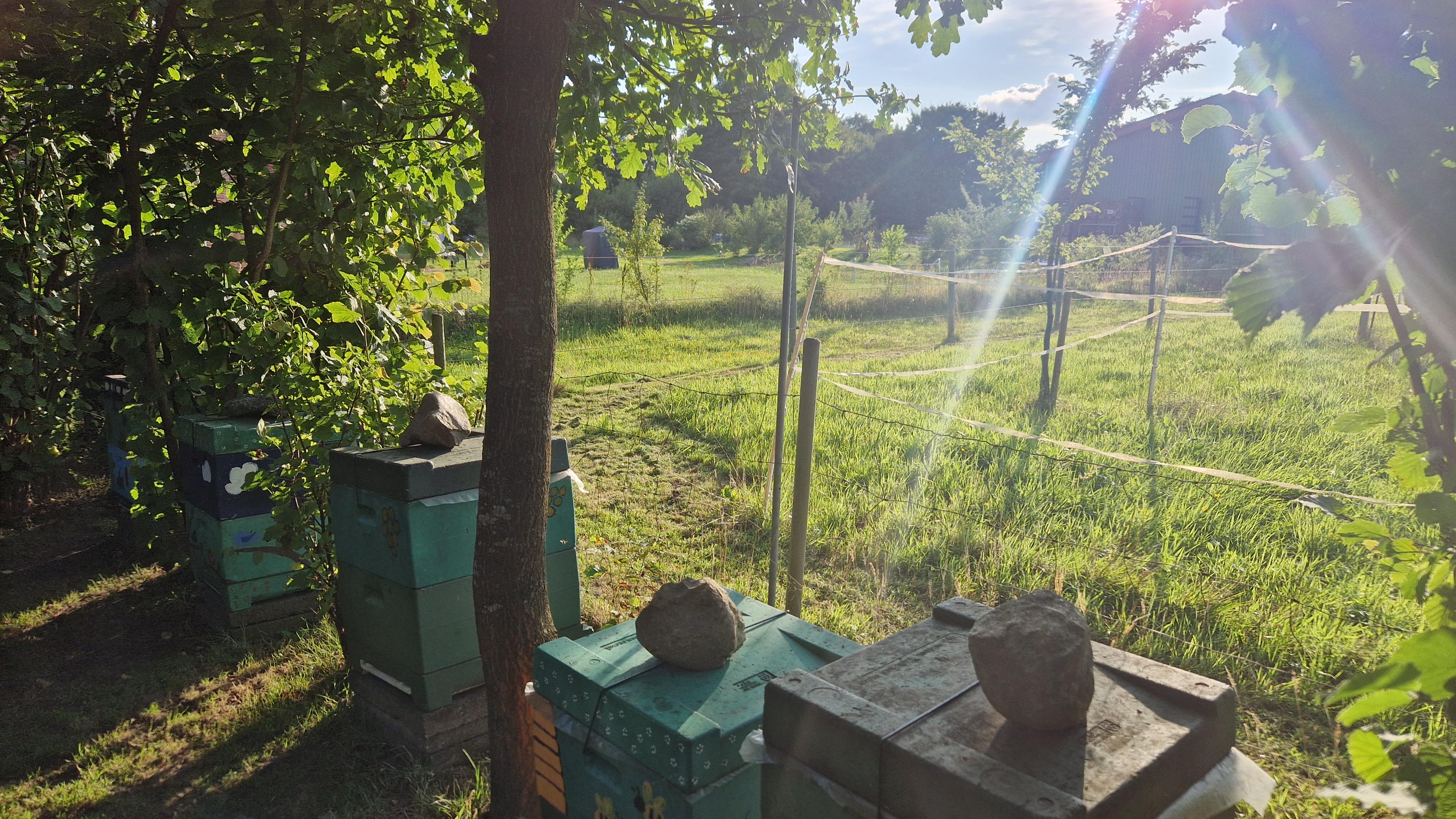 Bienenhaus
