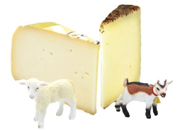 Käse-Paket Schaf/Ziege 2er