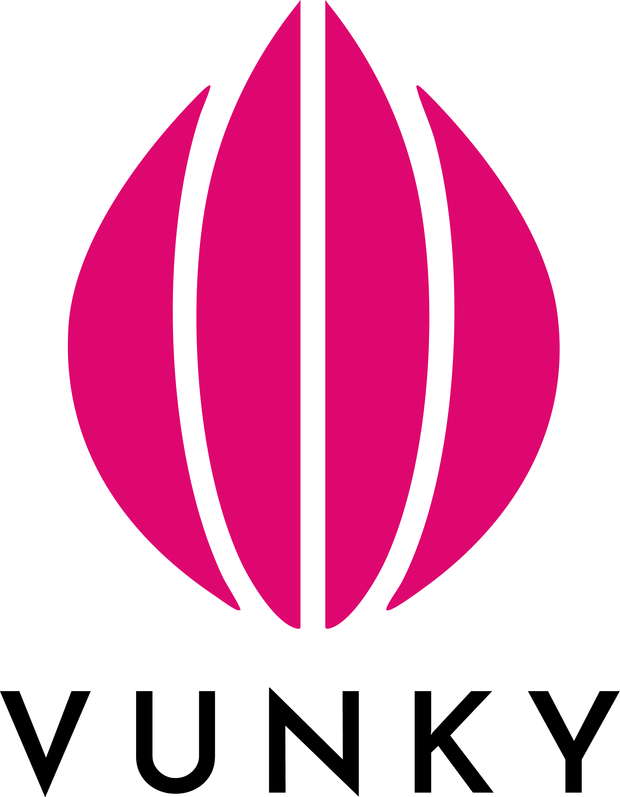 Vunky Foods
