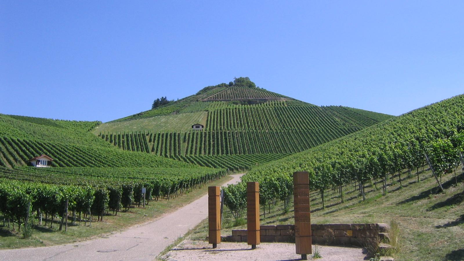 Weingut Holzapfel