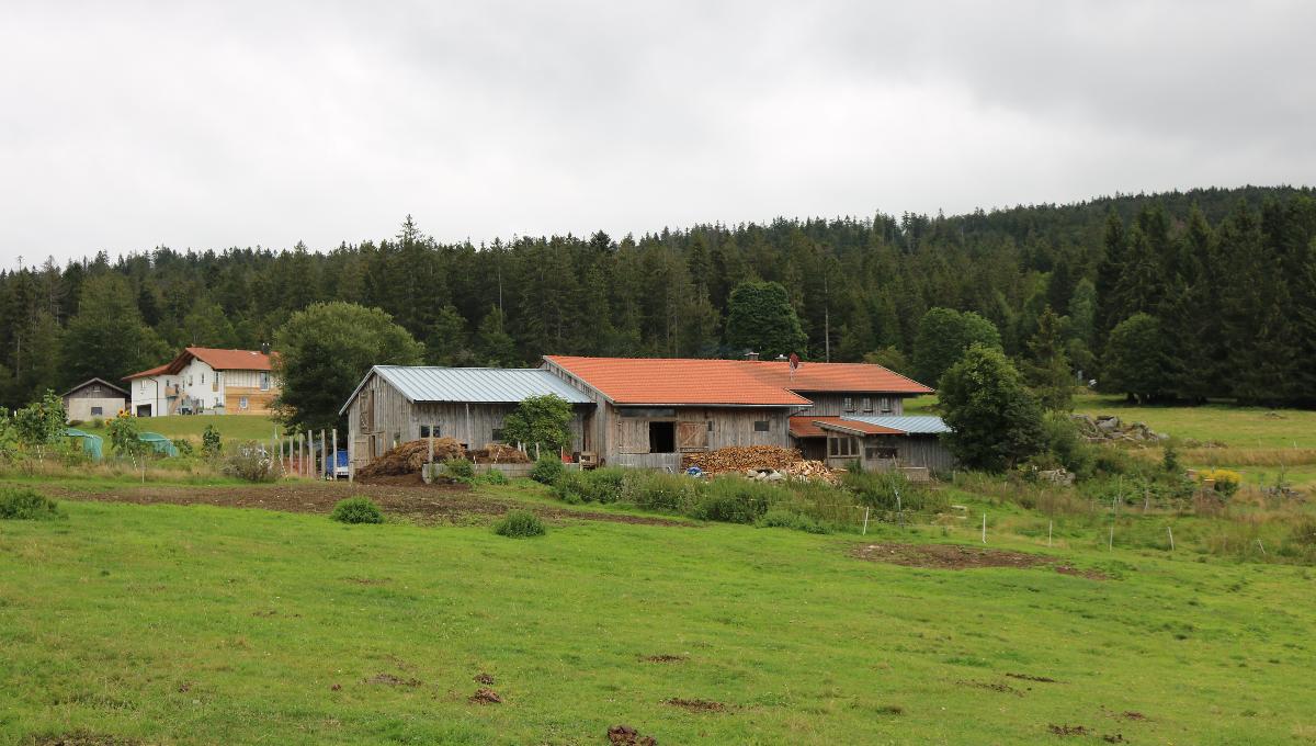 Biohof Kranabith Biohof Kranabith