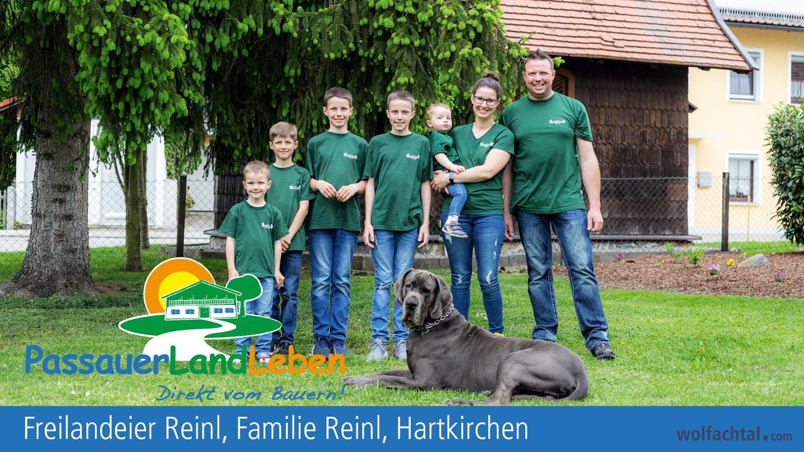 Freilandeier Reinl