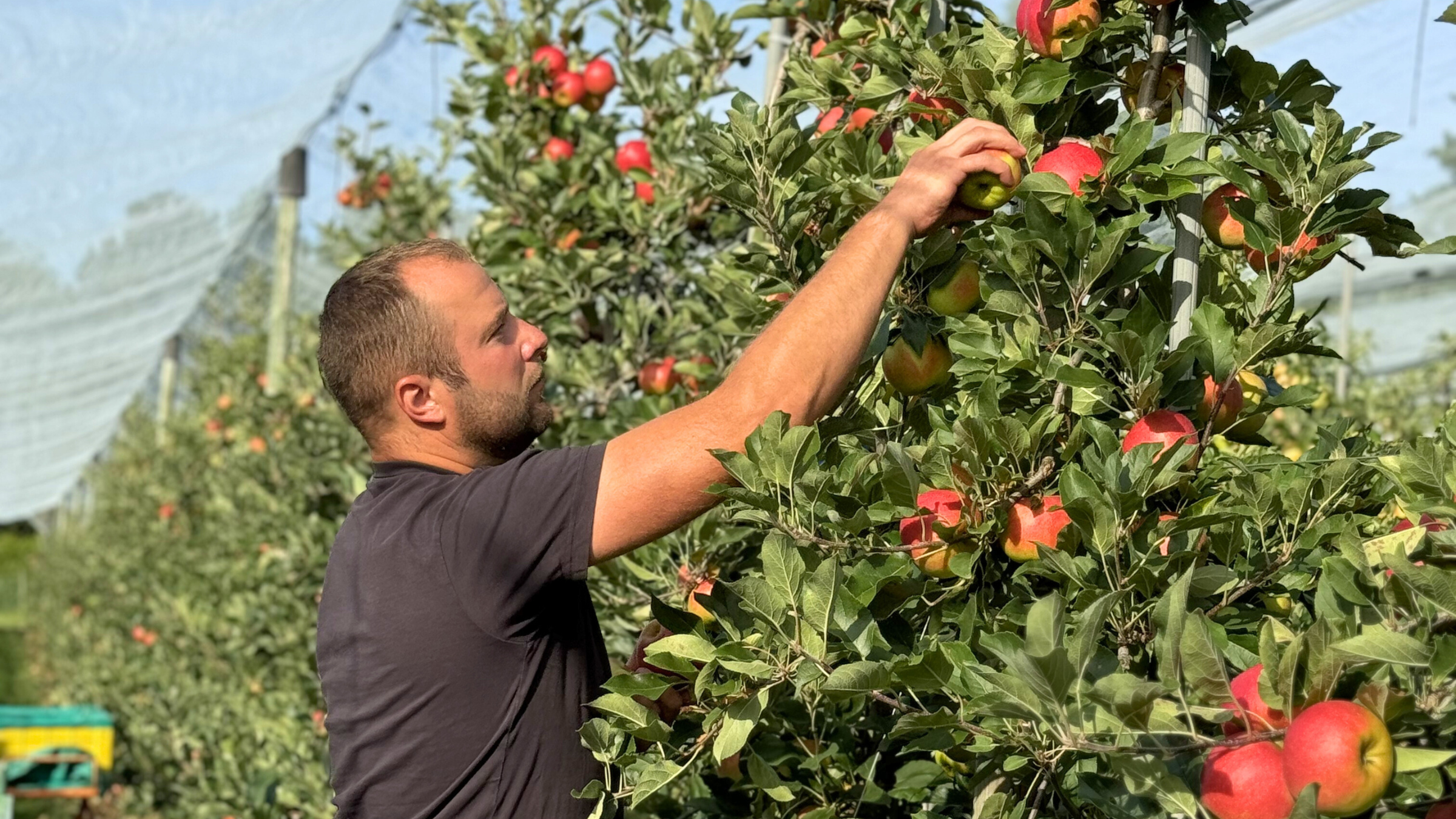 Hofladen Obstgut Müller