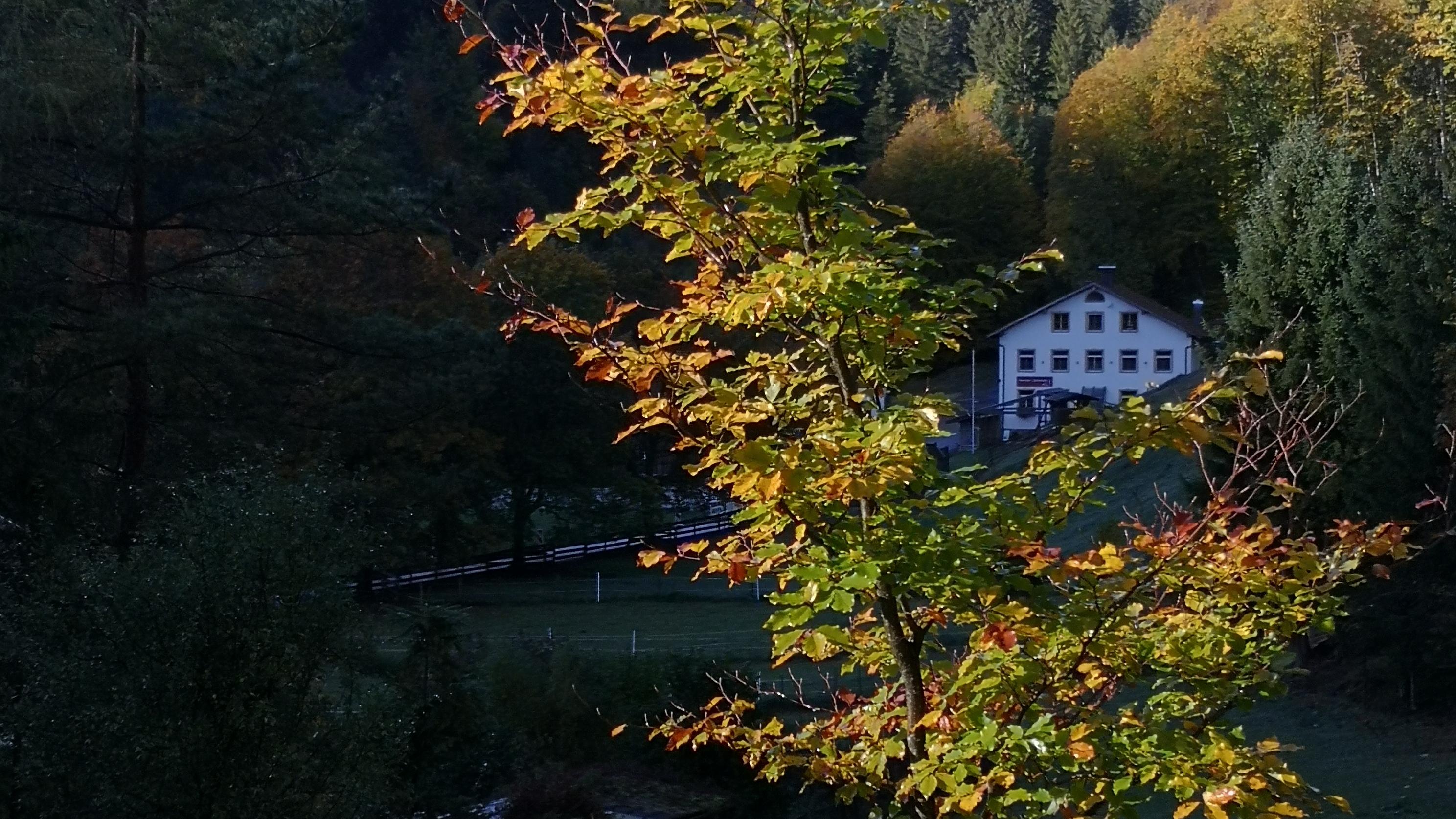 Gasthof Fallmühle