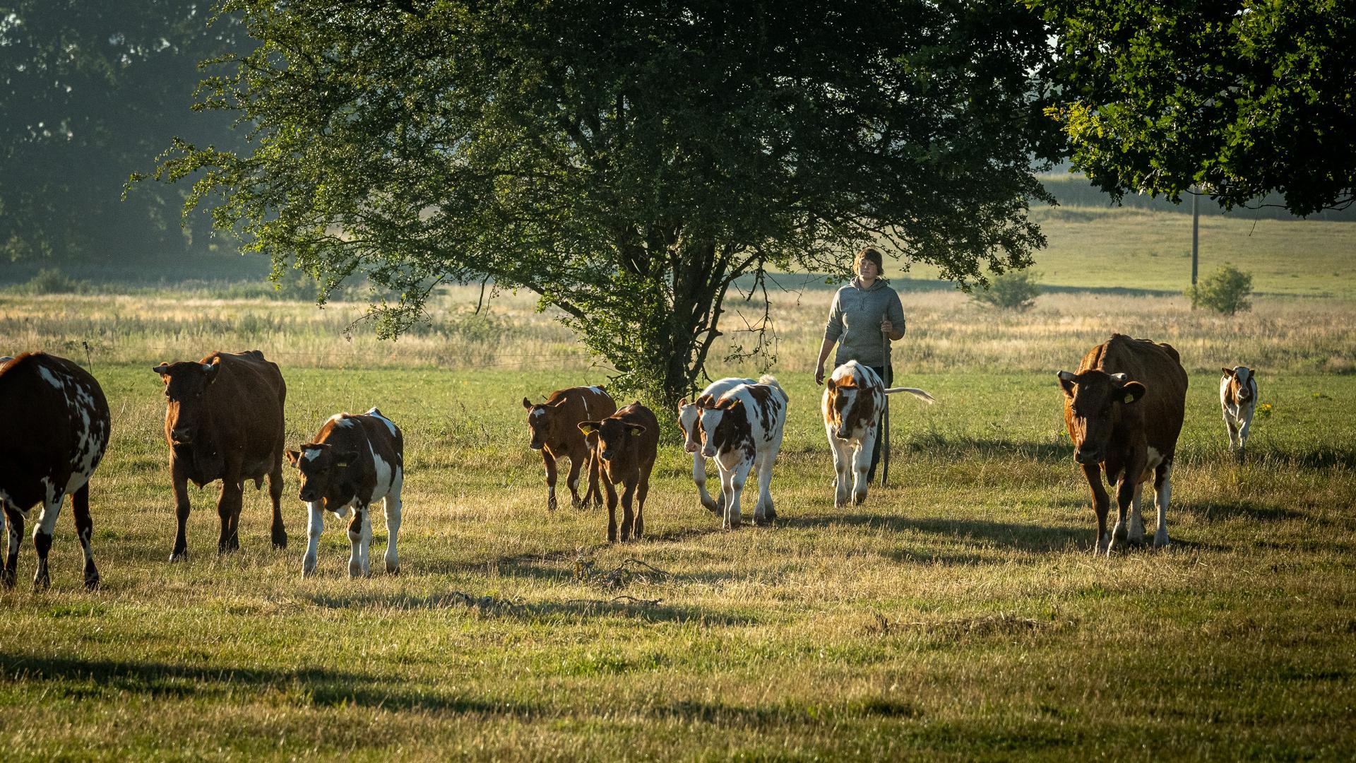 Siebengiebelhof