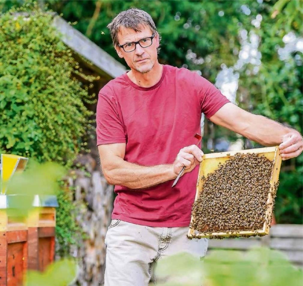 Bio-Imkerei Hörster