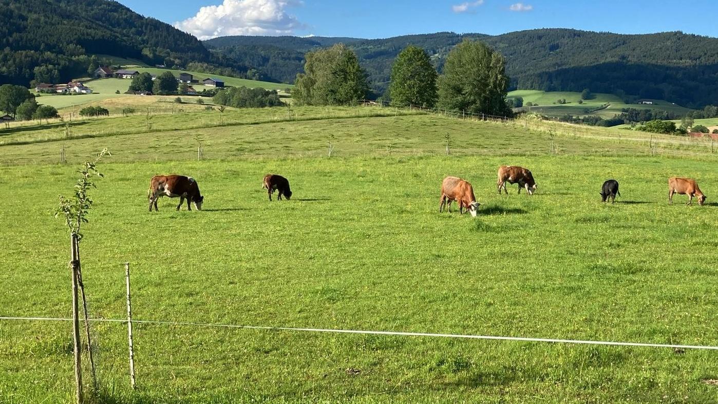Bioland Hof Familie Dirigl
