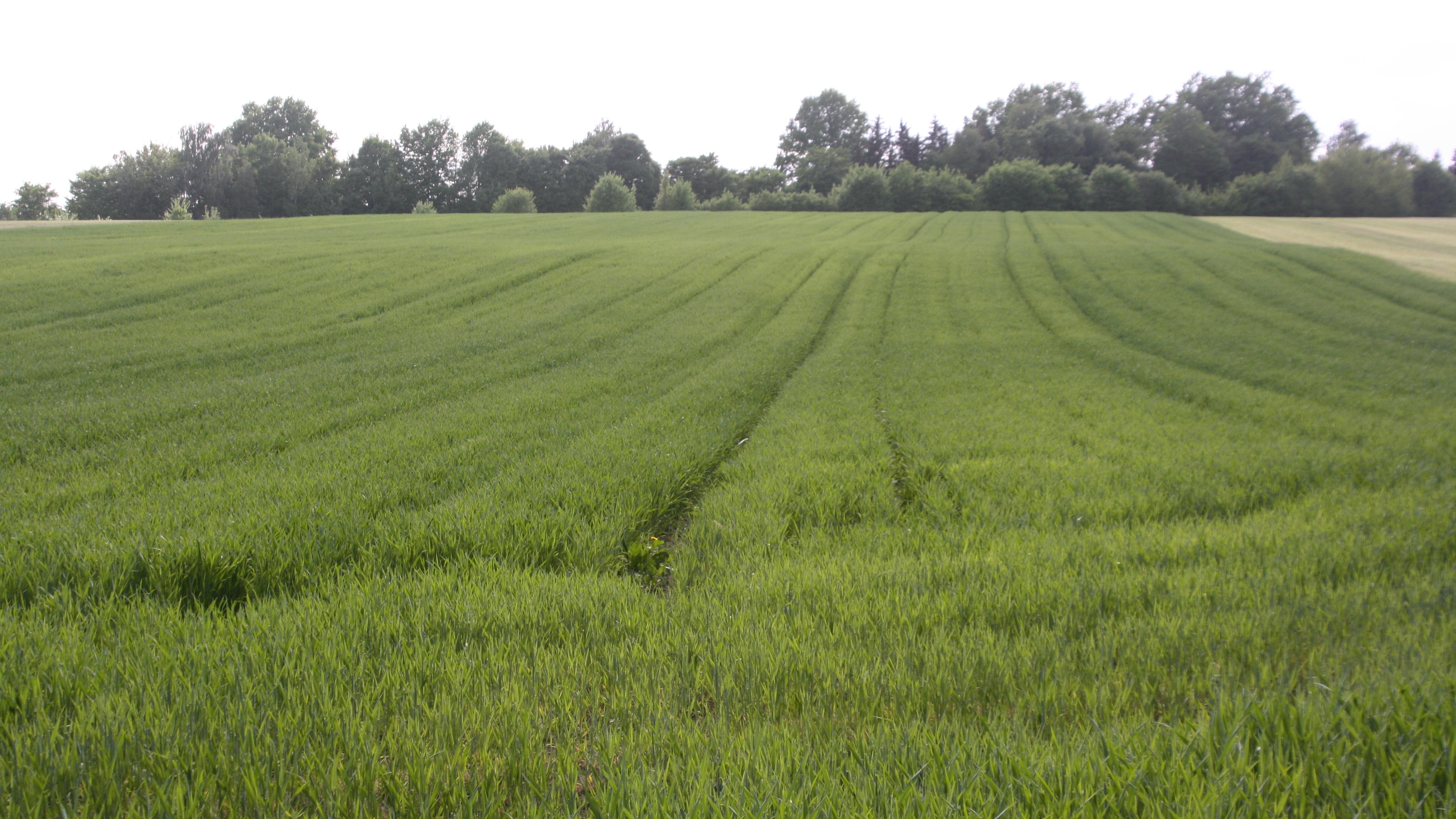 Kühnert   Naturland-Hof