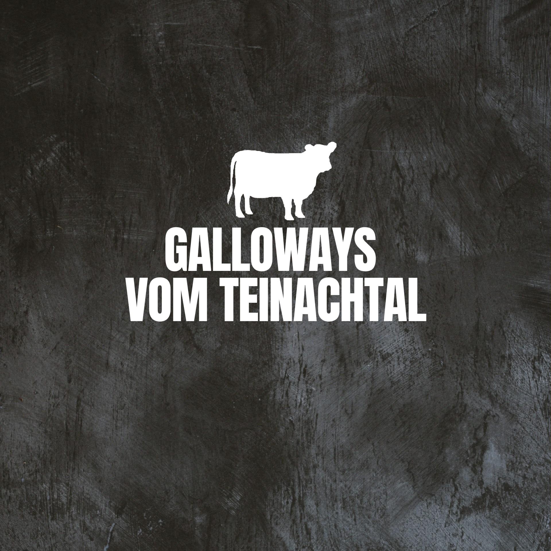 Galloways vom Teinachtal
