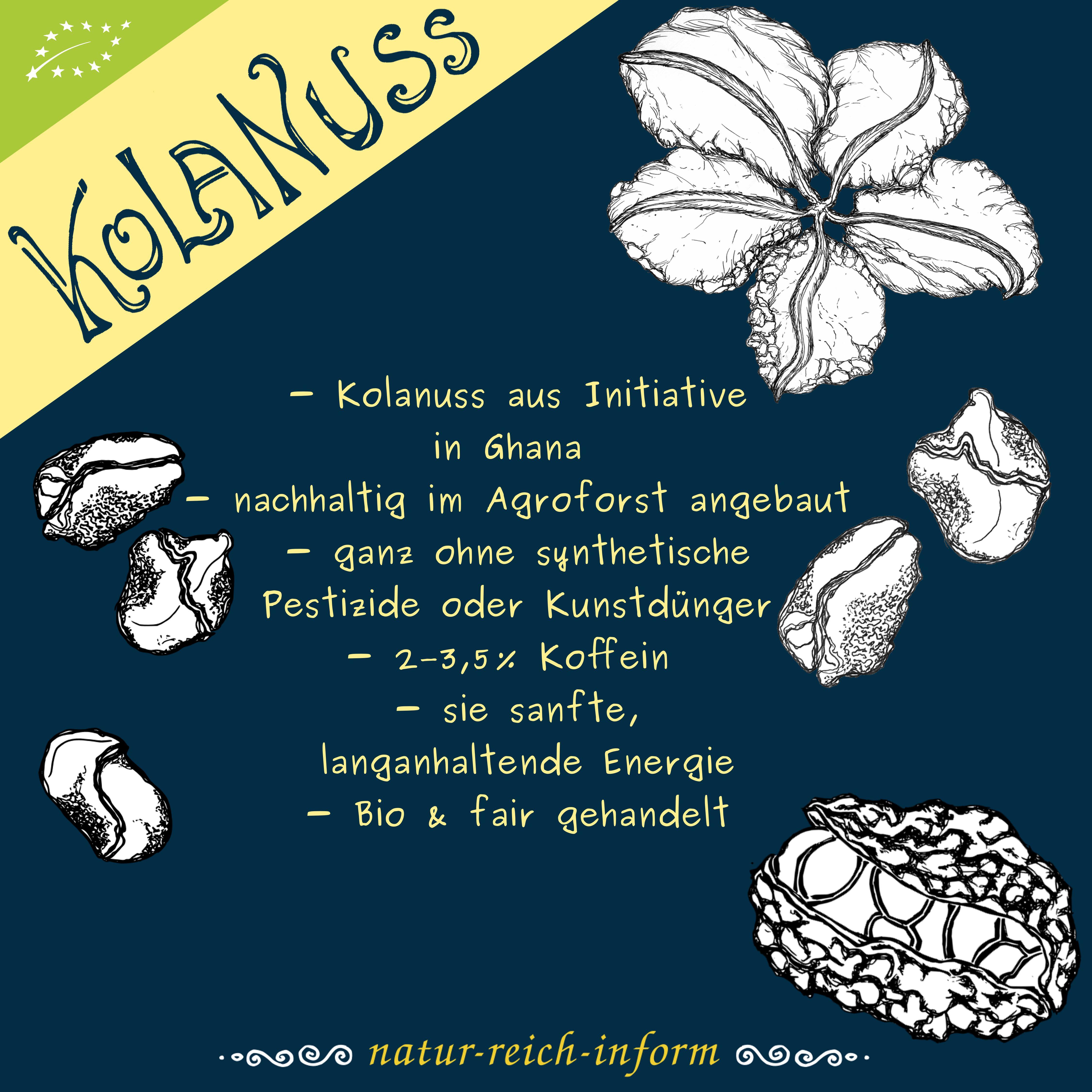 Kennlernpaket Kolanuss Rohstoff BIO