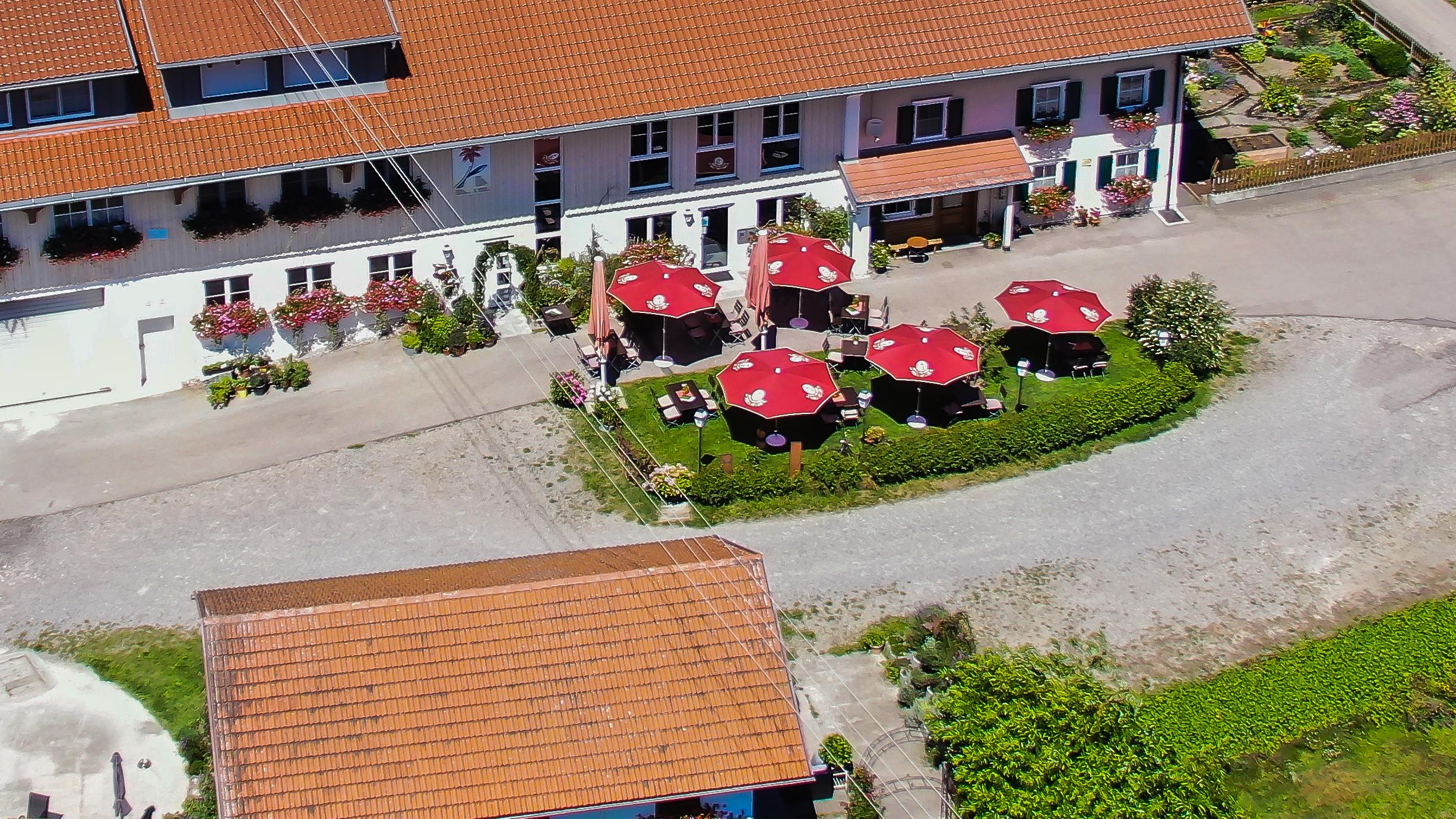 Prokräuter