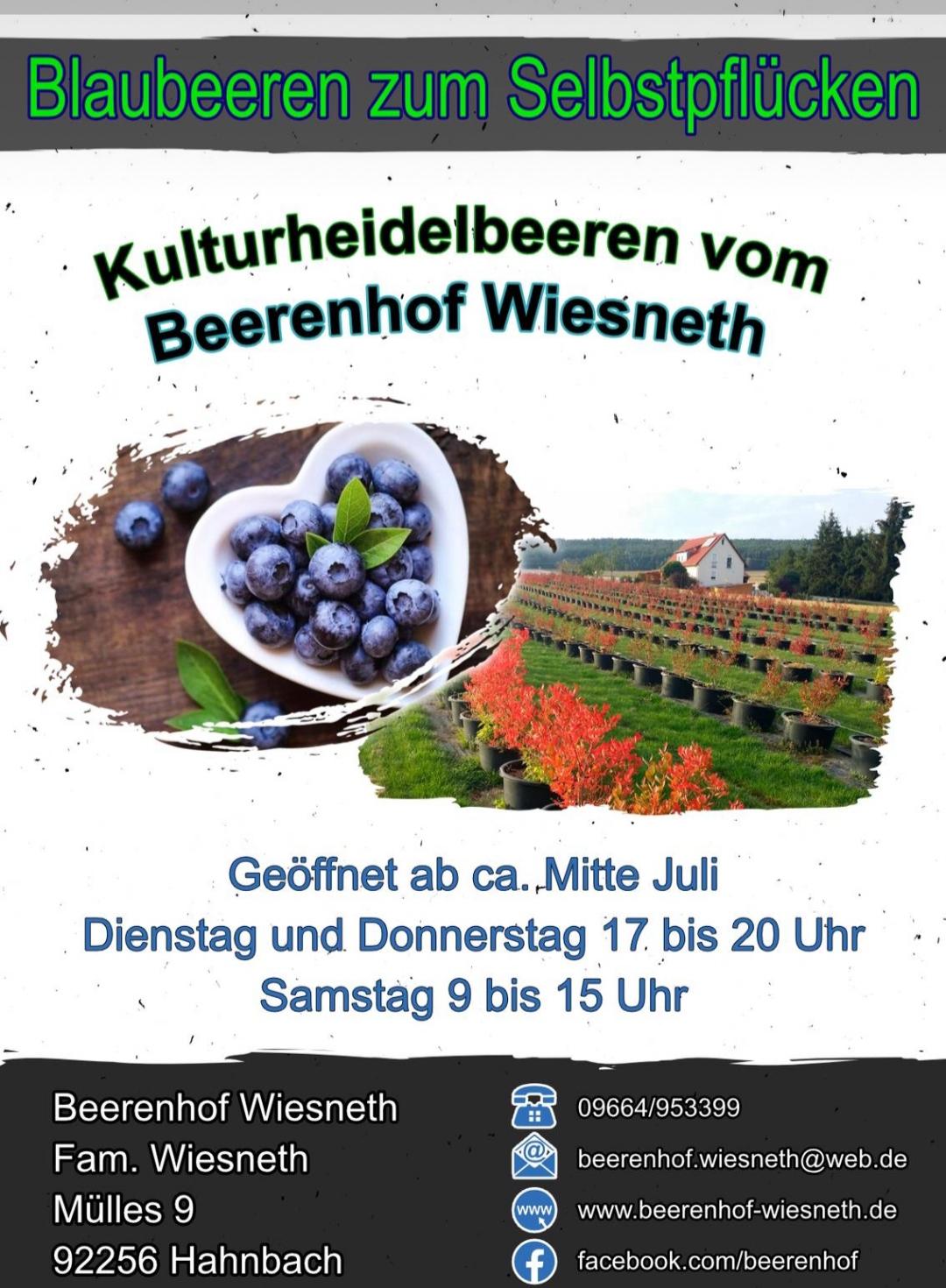 Beerenhof Wiesneth