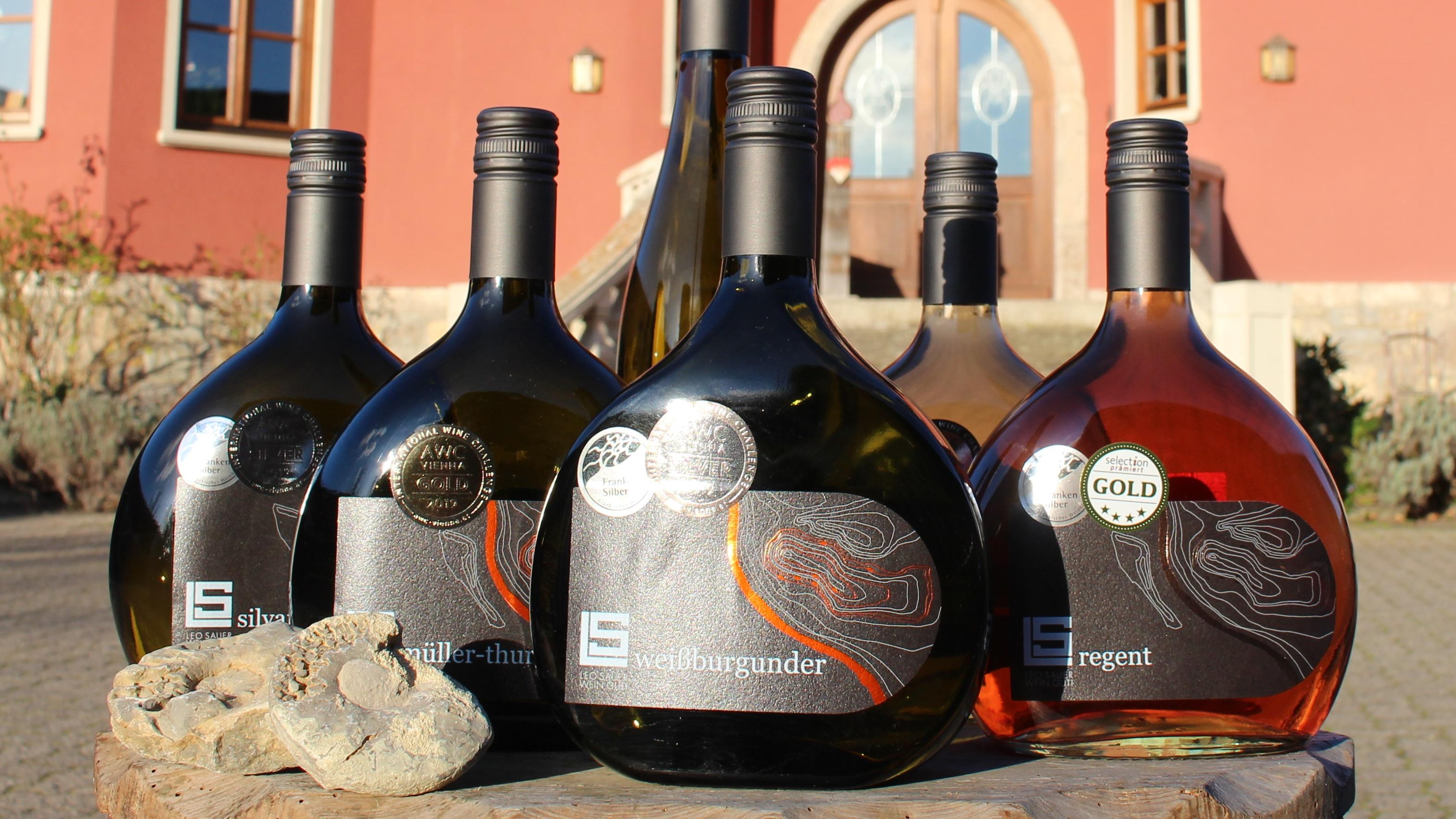 Weingut Leo Sauer
