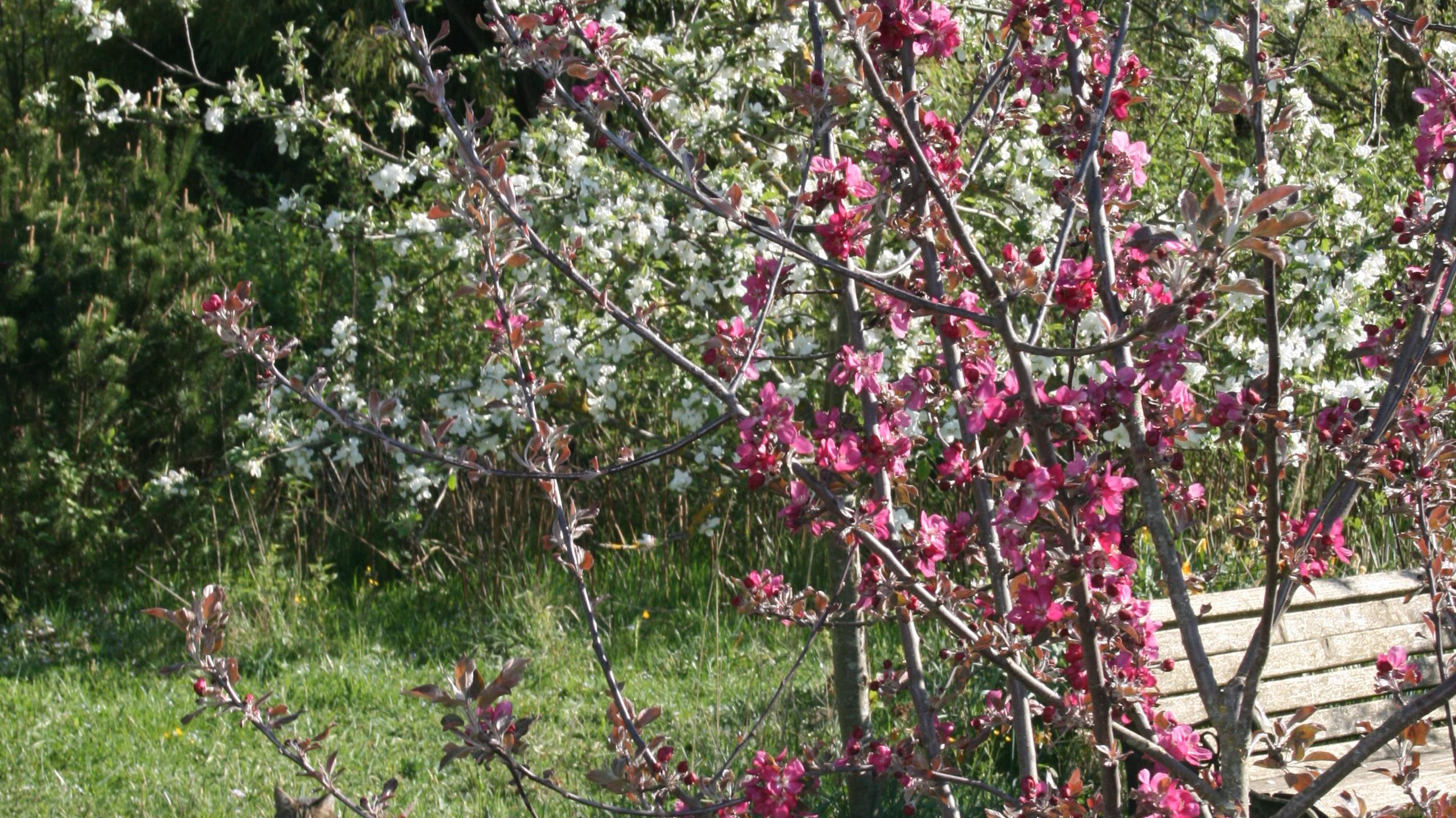 Permakulturhof Eselgarten