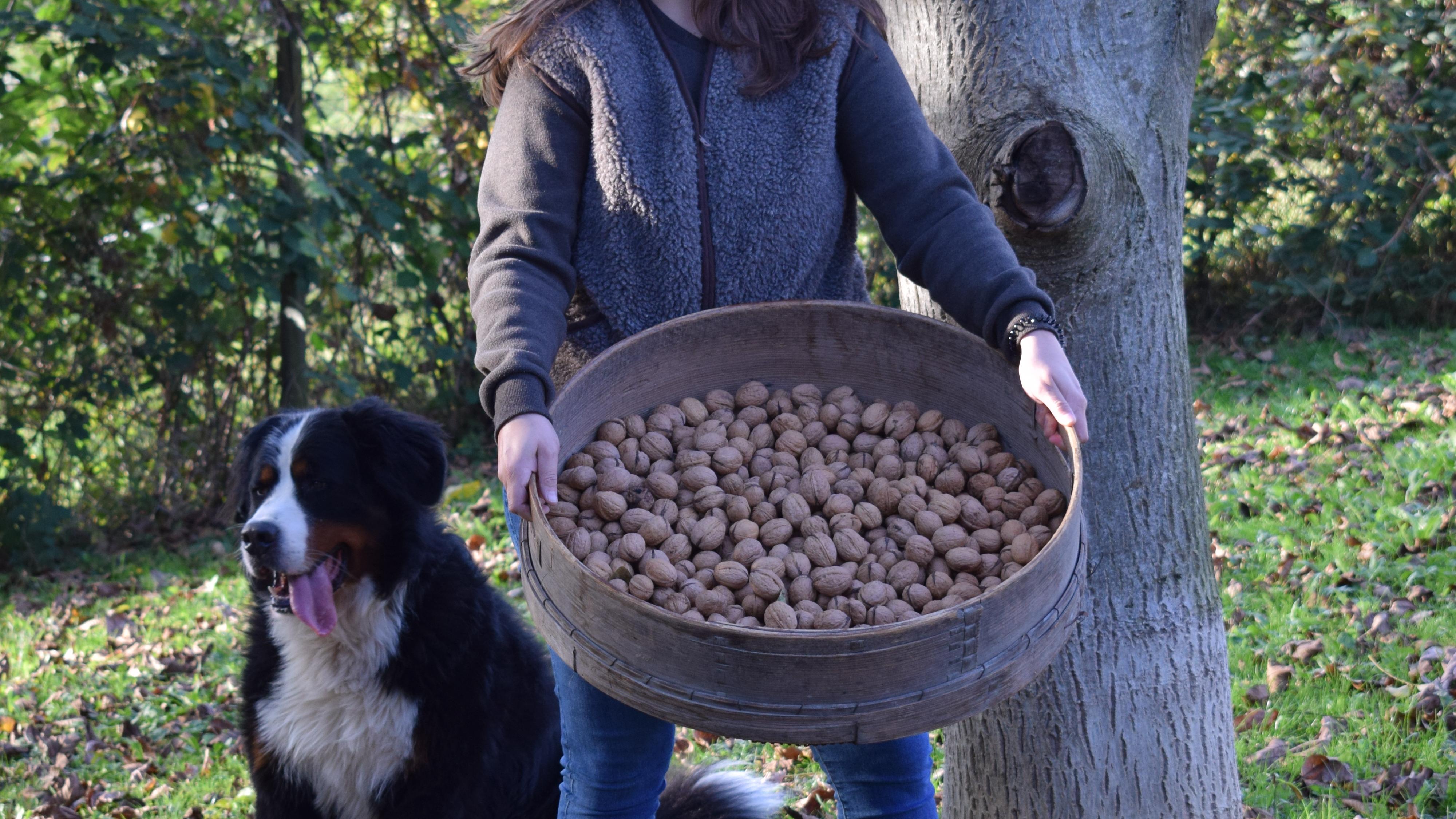Bio Metzgerei Grießhaber, Mössingen
