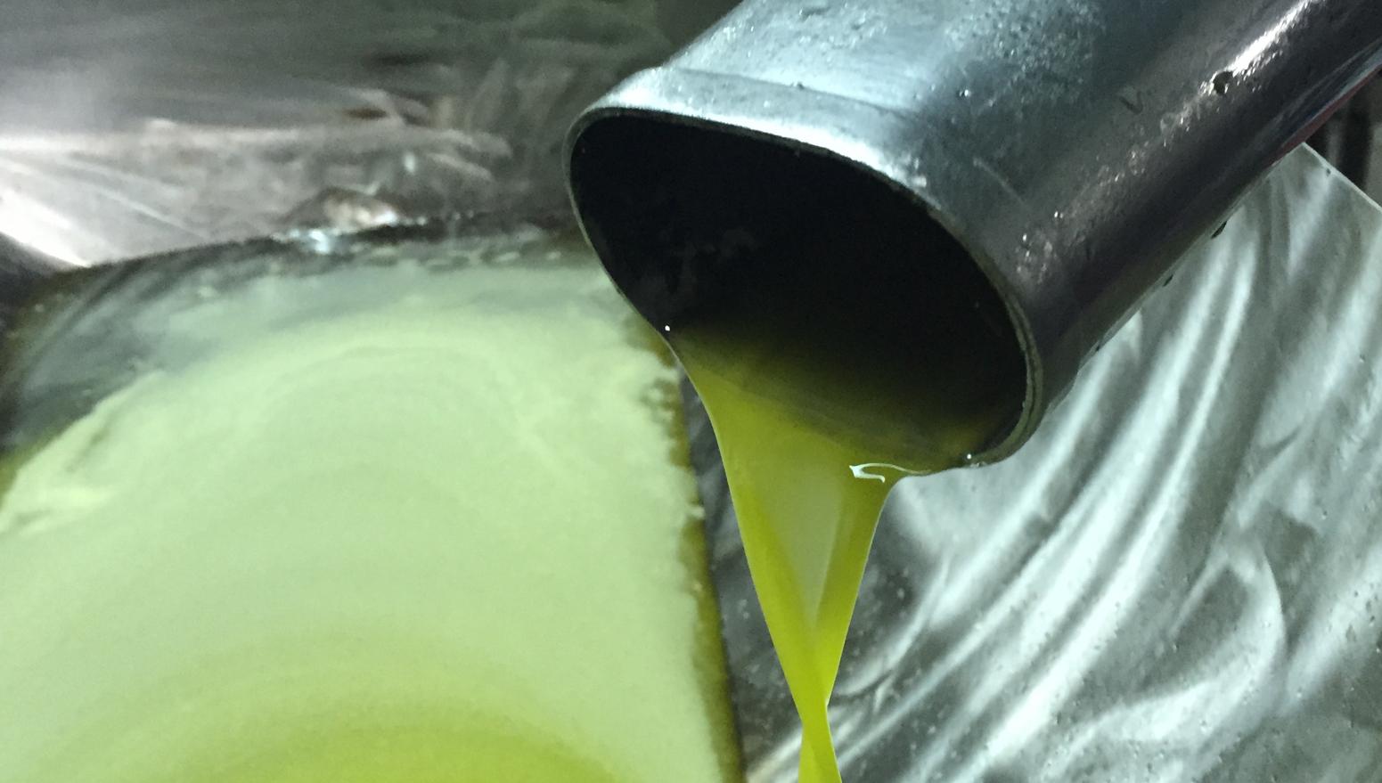 Olivenöl extra vergine