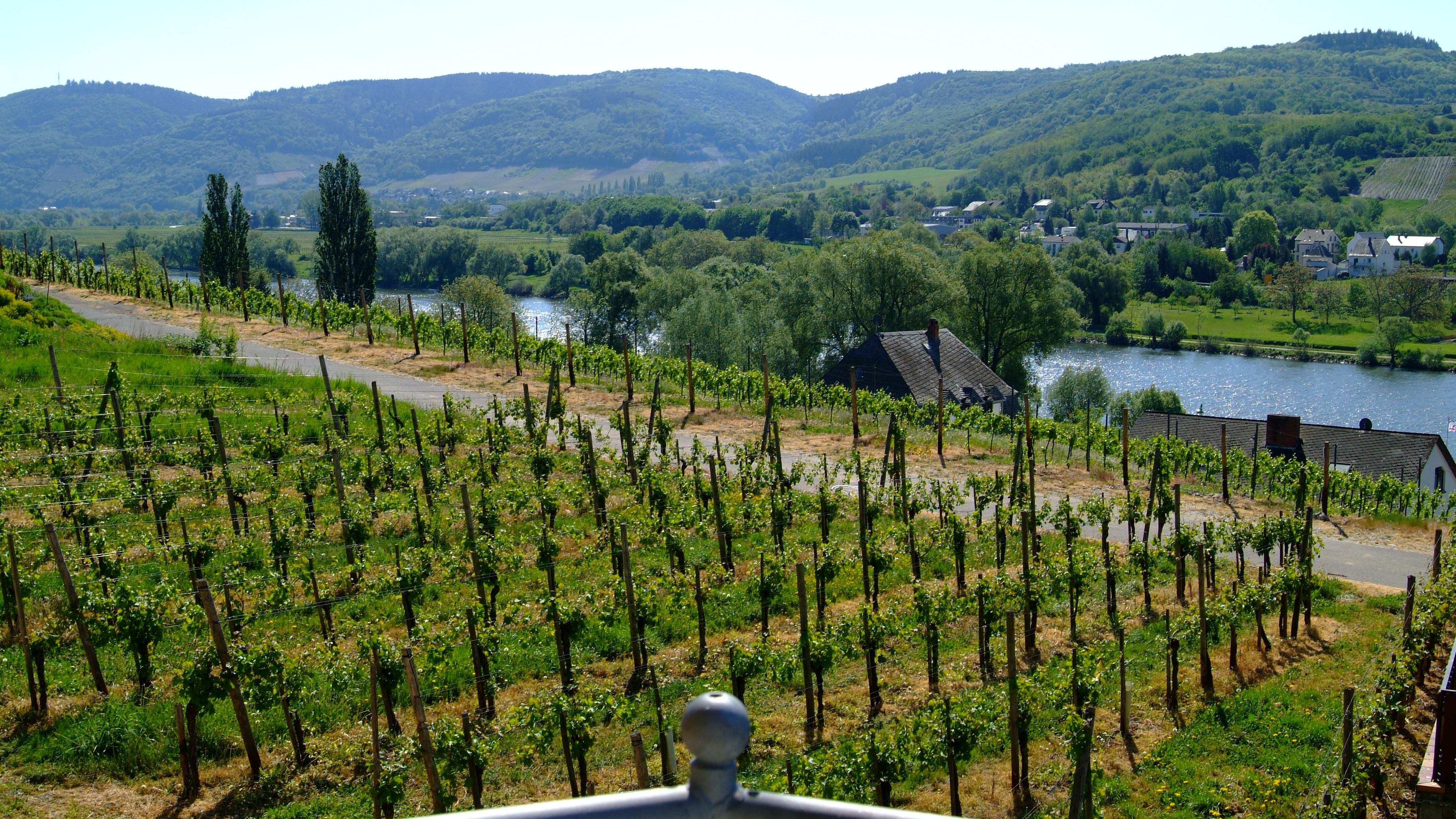 Wein- und Gästehaus Genetsch