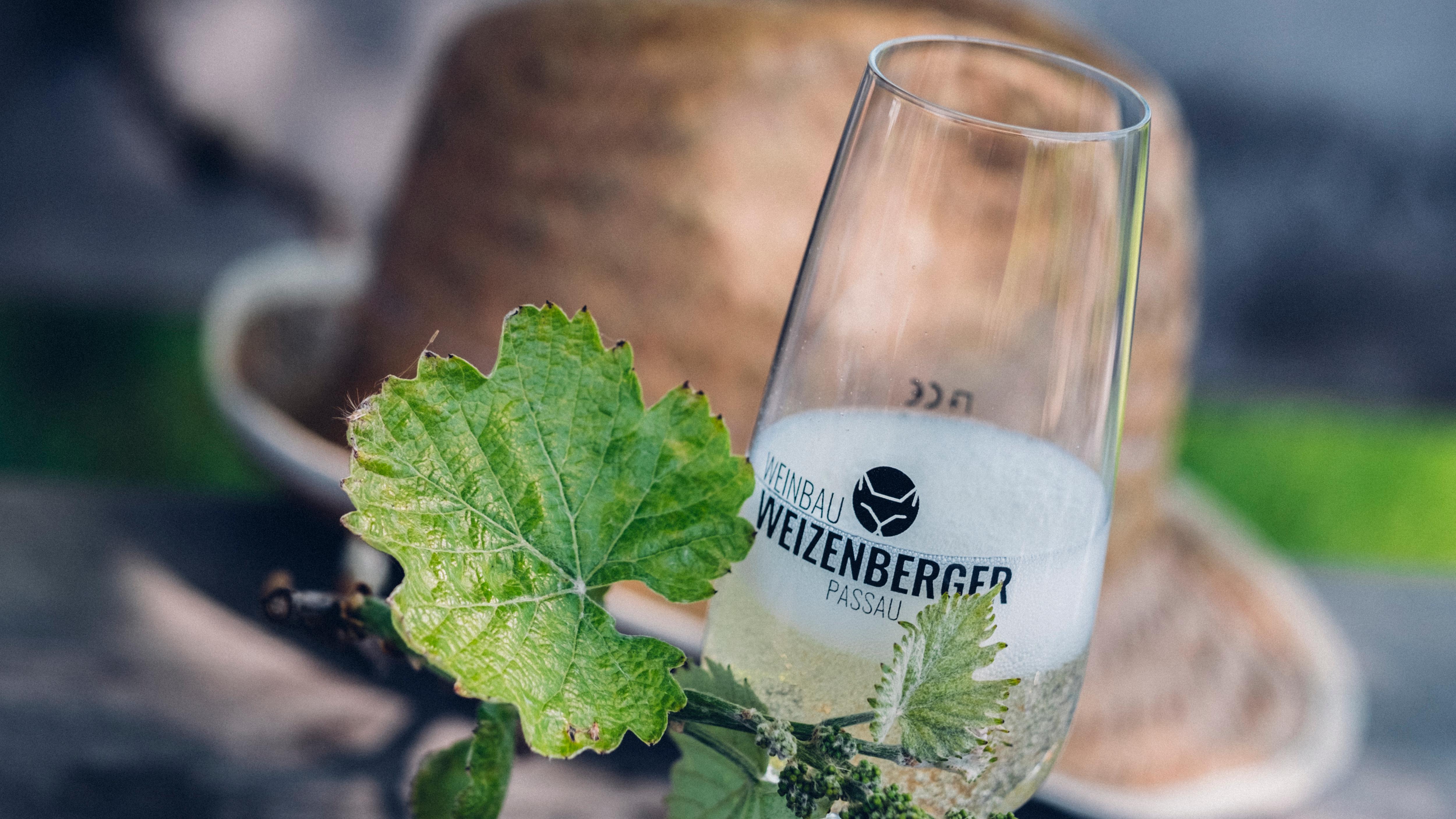 Weinbau Weizenberger