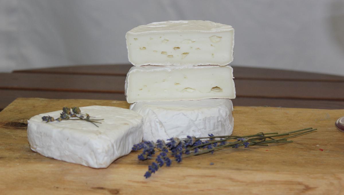 Ziegencamembert Ziegencamembert