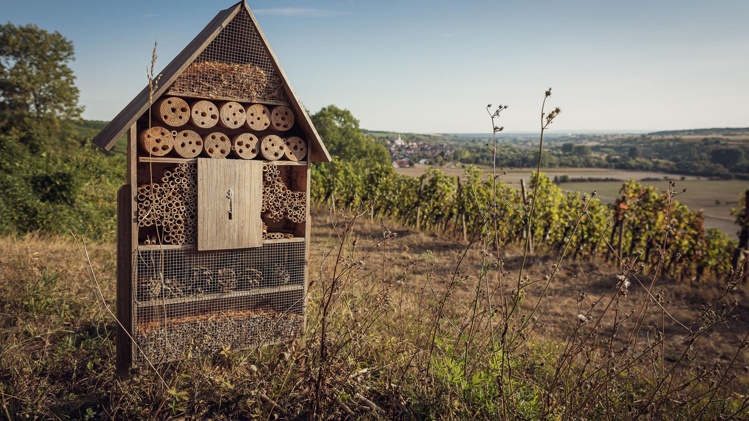 Weingut Staudt