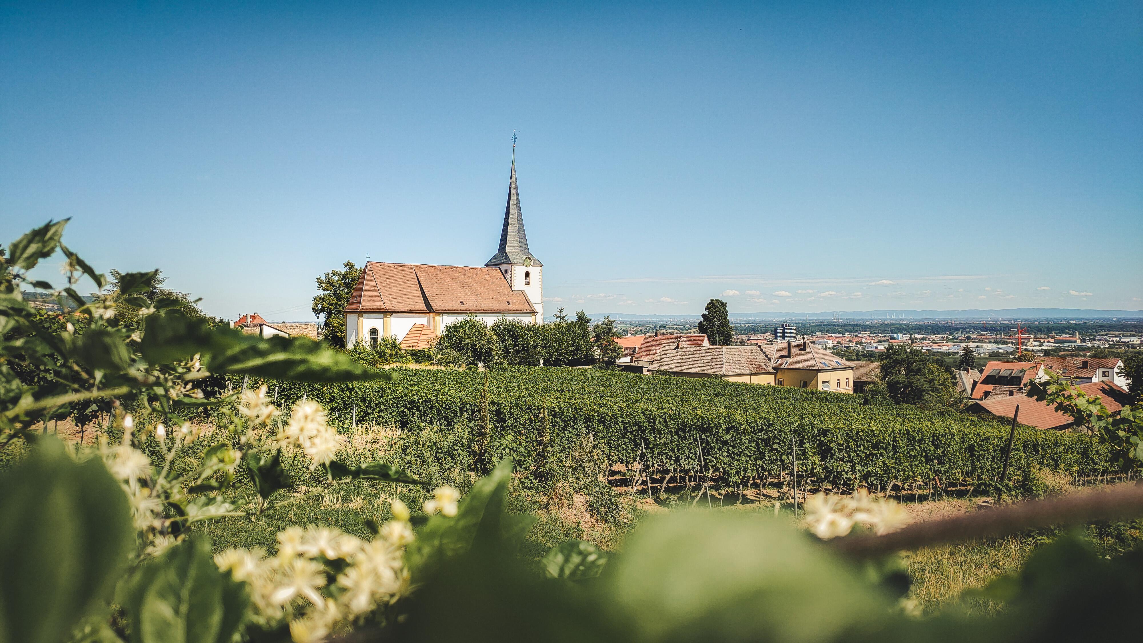 Weingut Georg Naegele