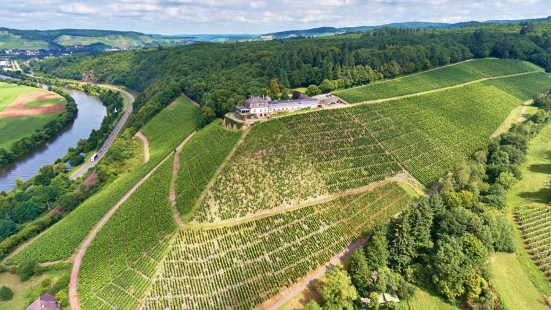 Weingut Schloss Saarstein