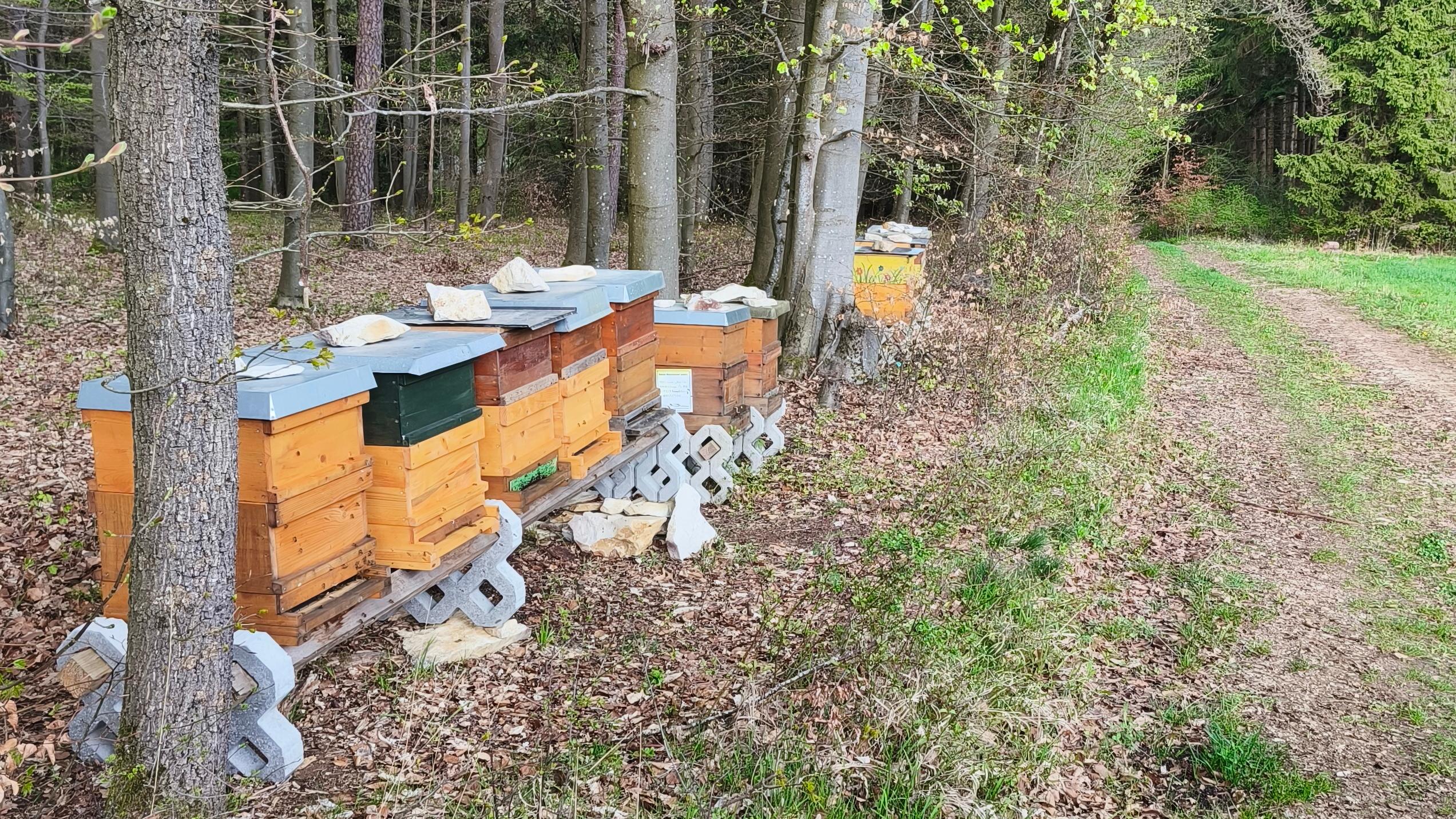 Bee Life Imkerei
