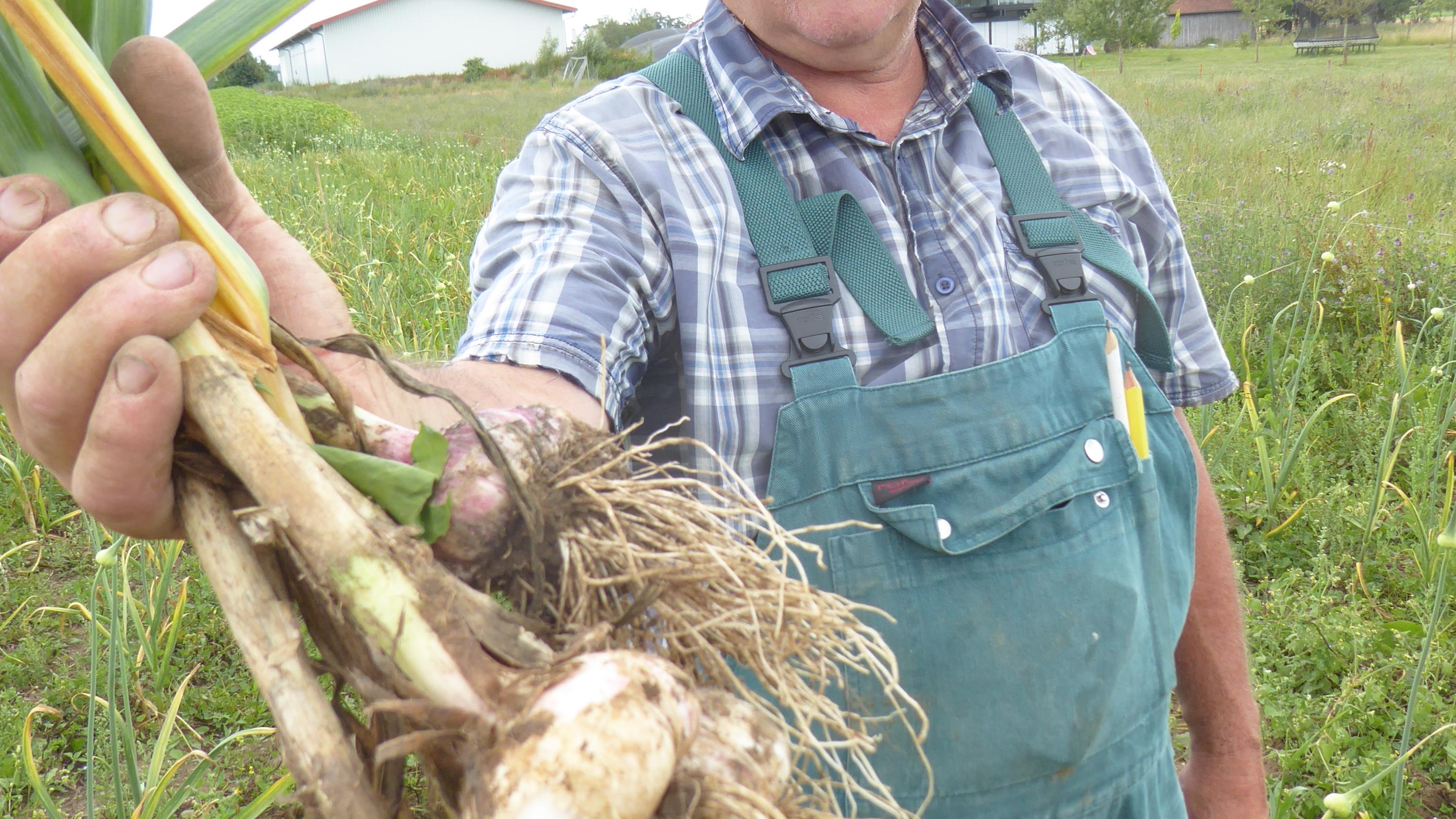 Landschaften schmecken