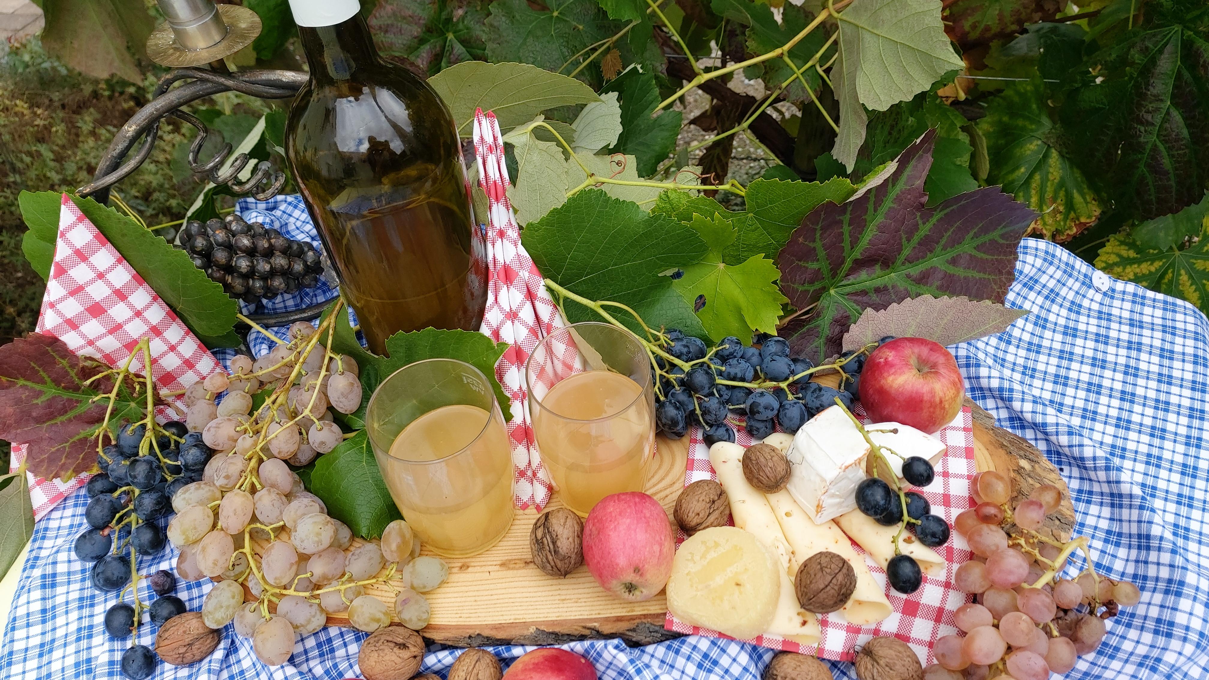 Weingut Wein-Träume