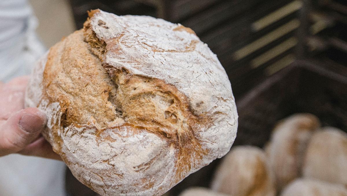 Josefbrot (hell und knusprig) Josefbrot (hell und knusprig)