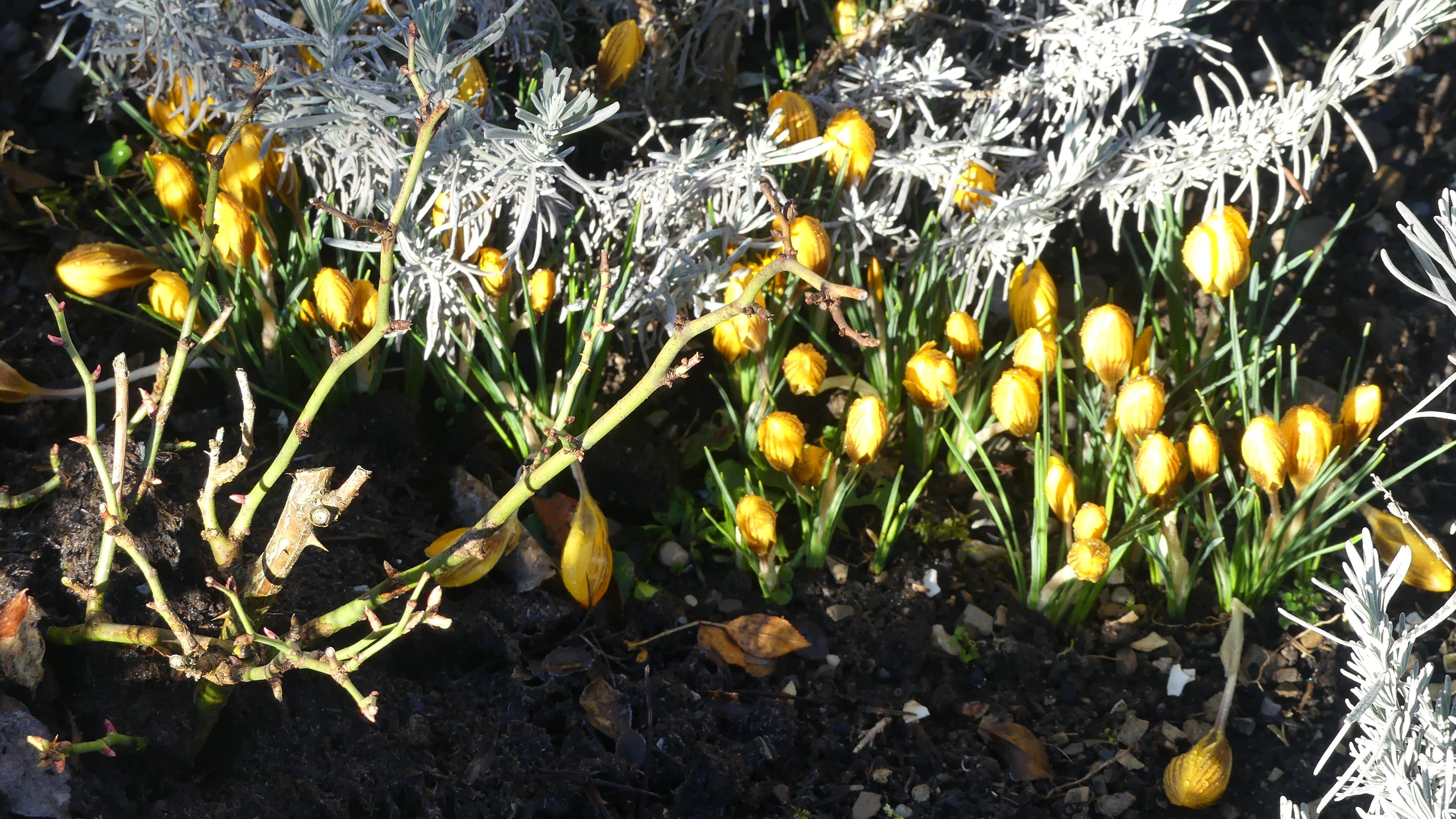 Imkerei Richard Barnsteiner