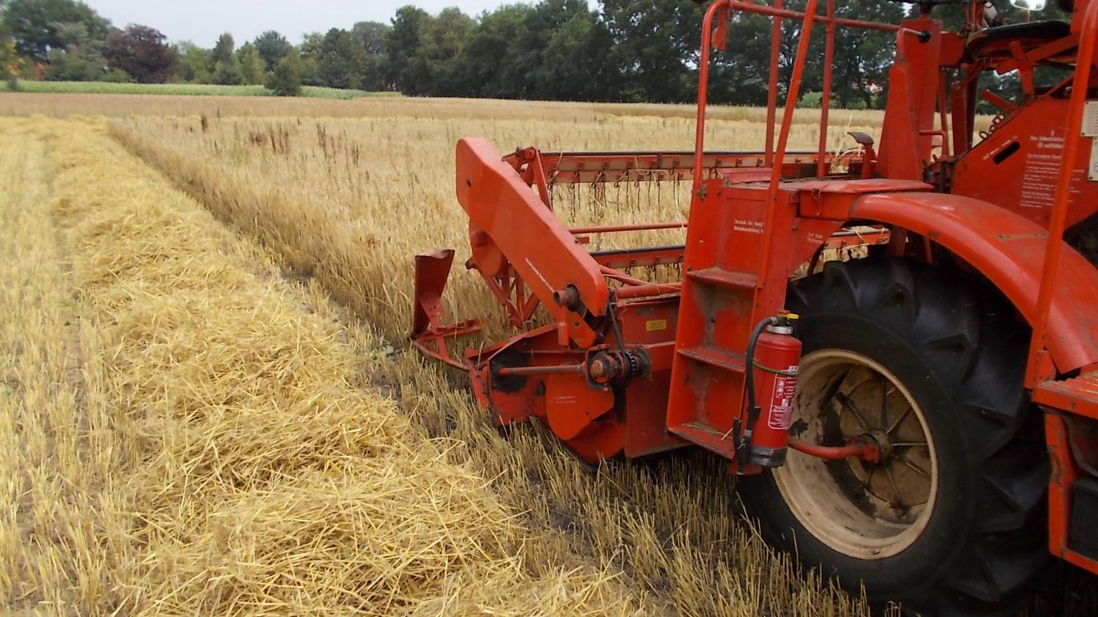 Johannes große Beilage Landwirtschaft