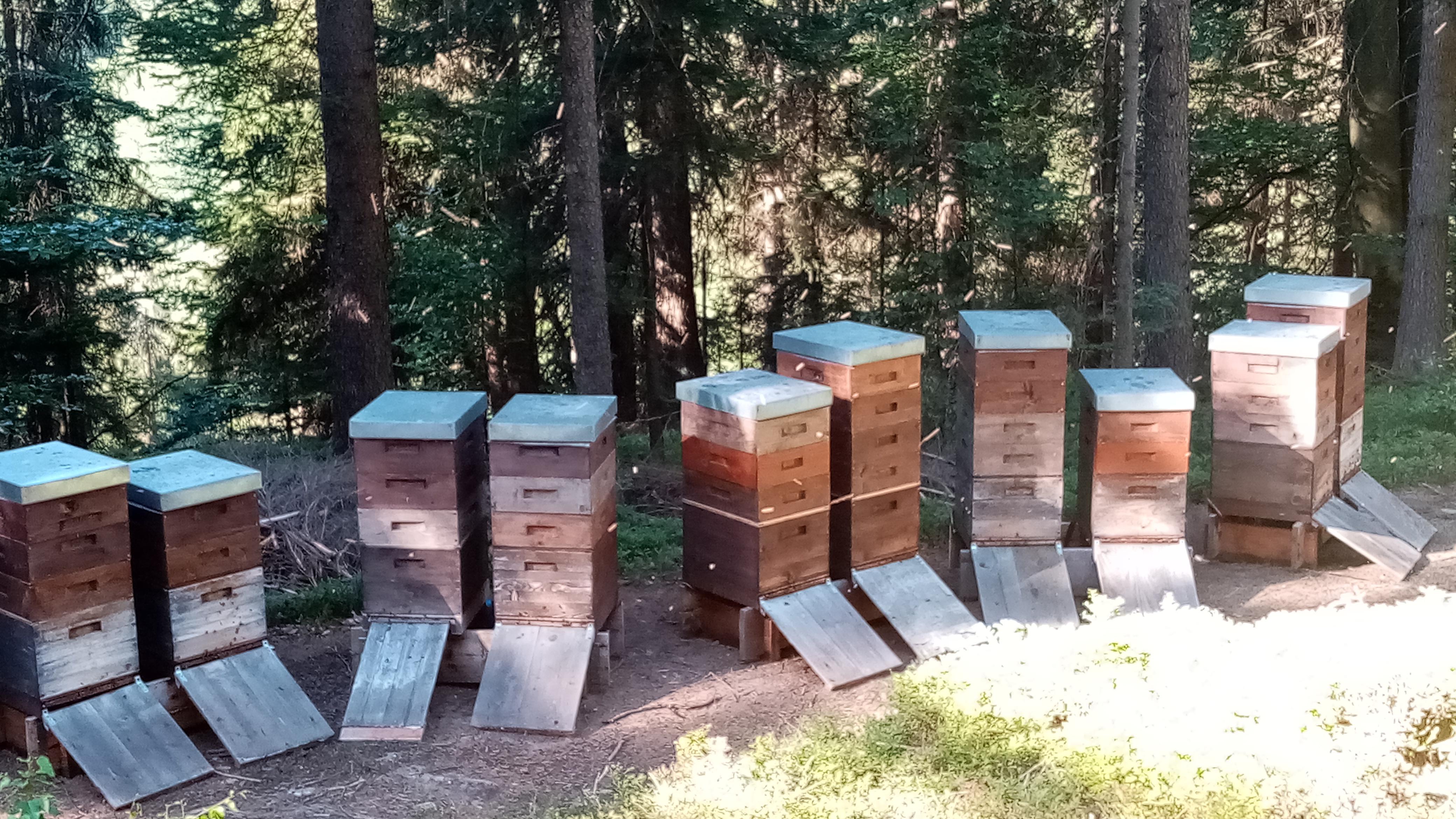 Dorfimkerei Wolfersdorf