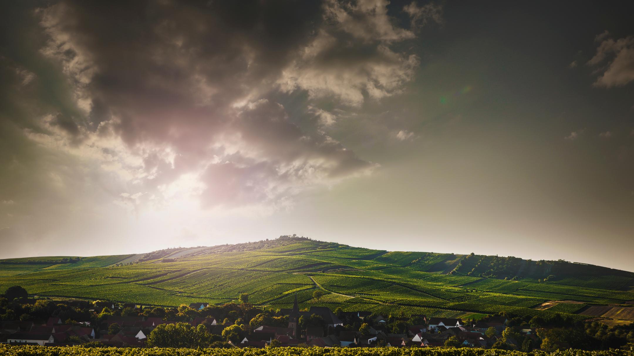 Weingut Ernst Bretz