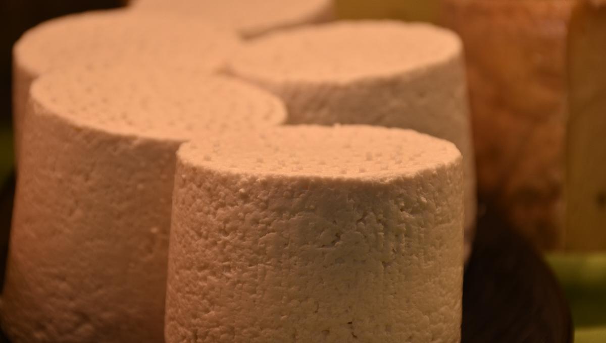 Schaf-Ricotta Schaf-Ricotta