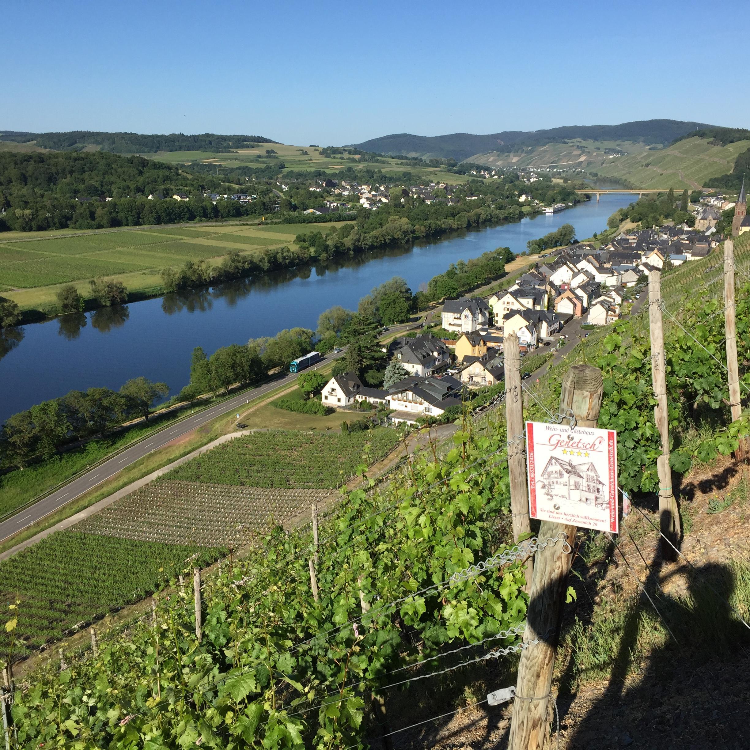 Wein- und Gästehaus Genetsch