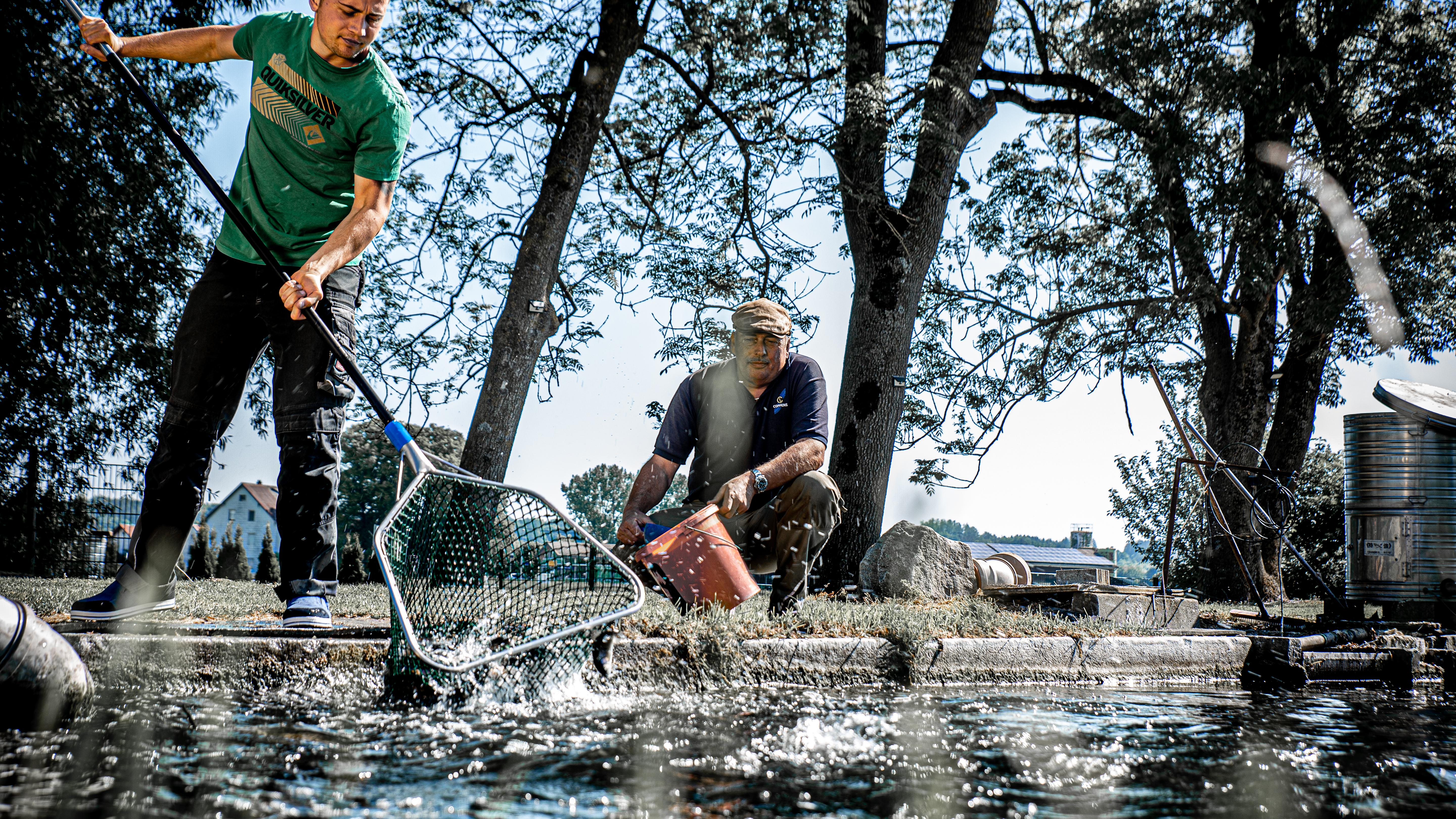 Forellenzucht Simon eGbR