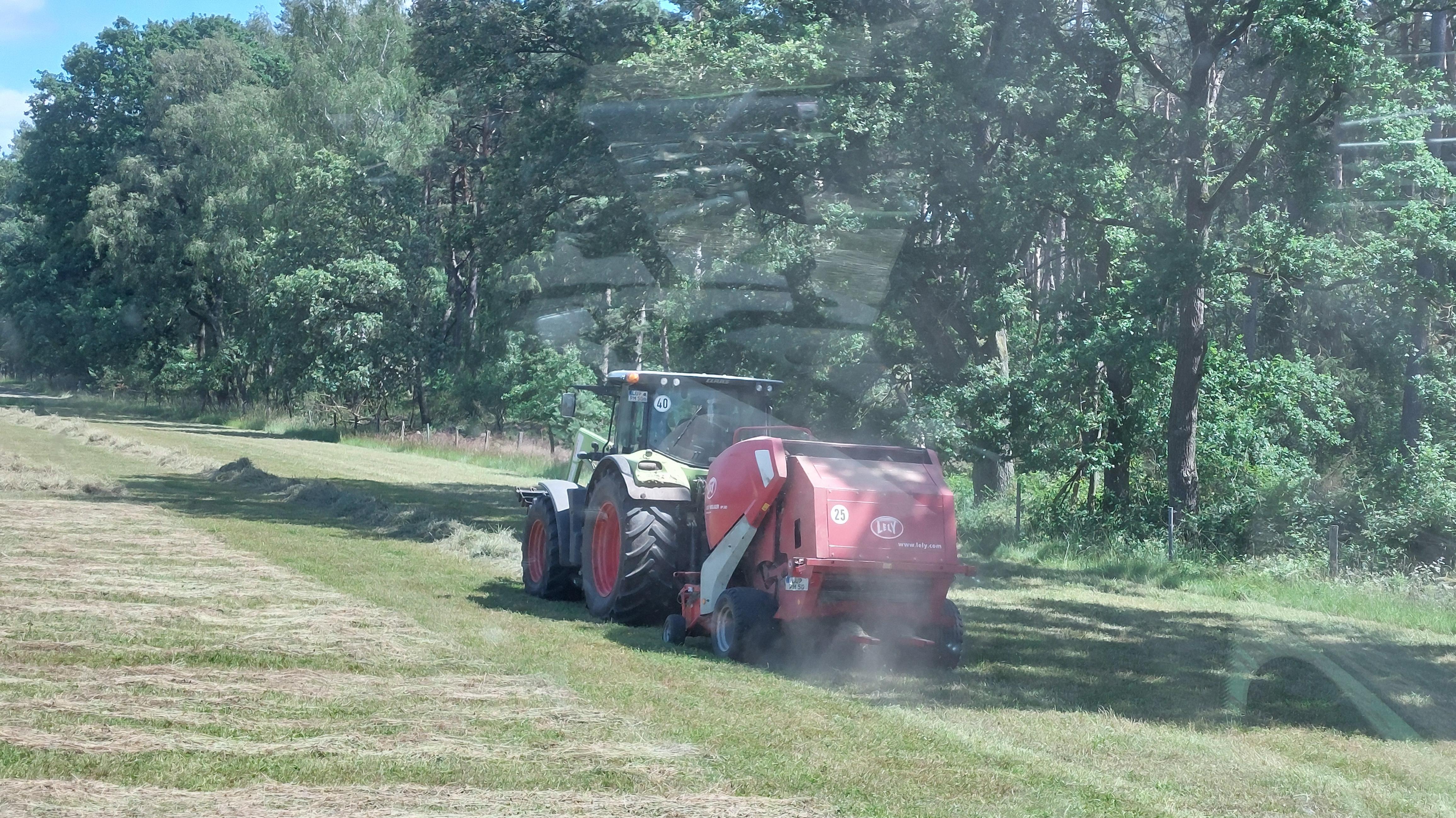 Mannfeld Landbau