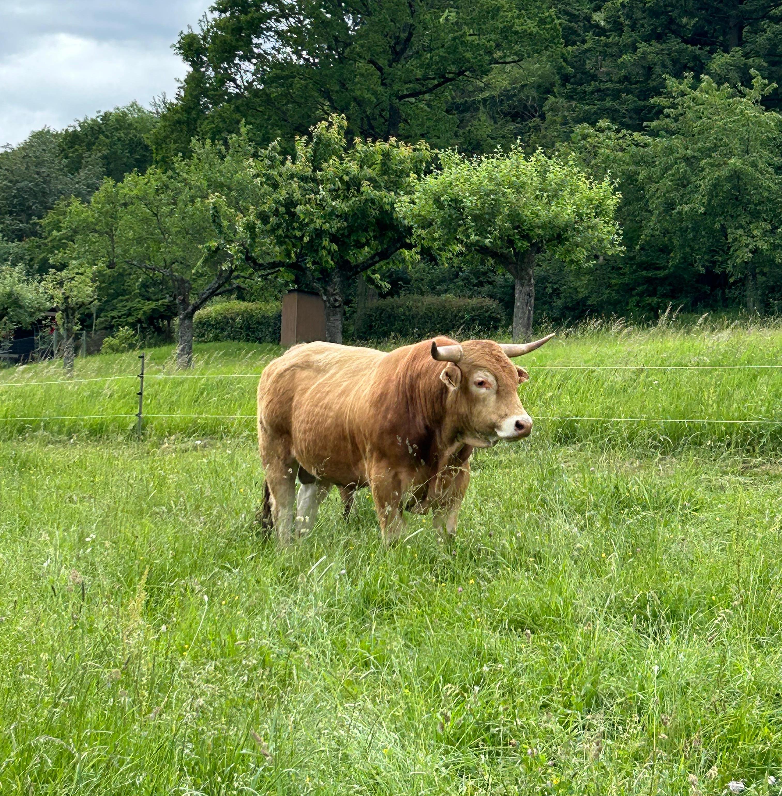 Hof Veldensteiner Forst - Naturprodukte GbR