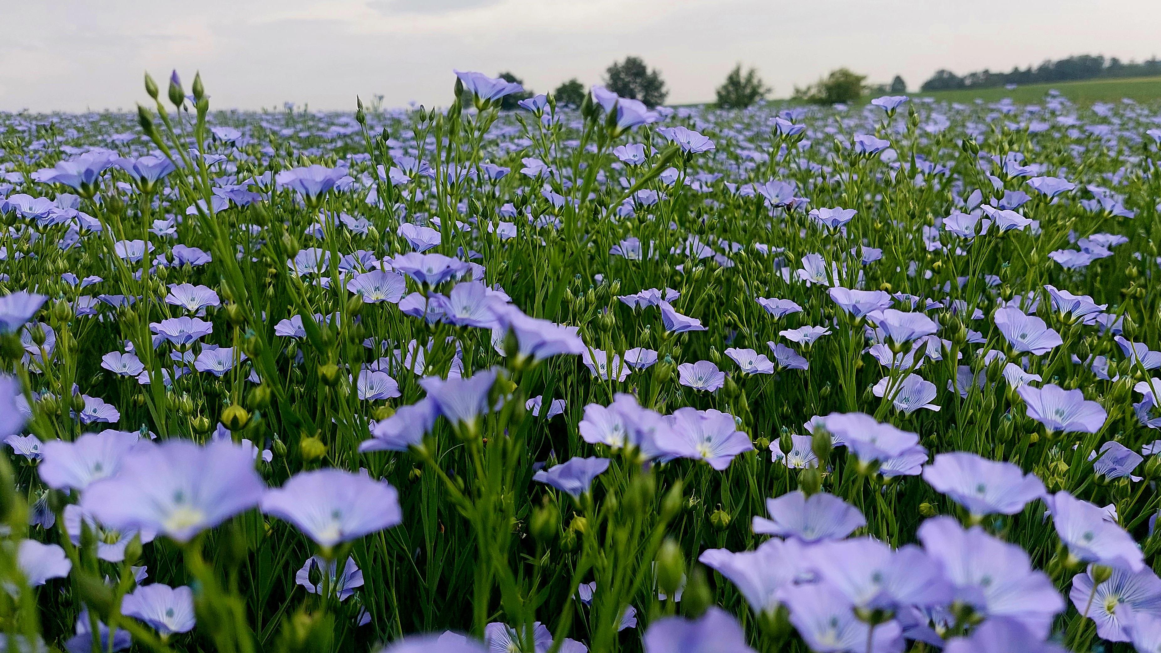 Niklas Agrar Landwirtschaft aus Leidenschaft