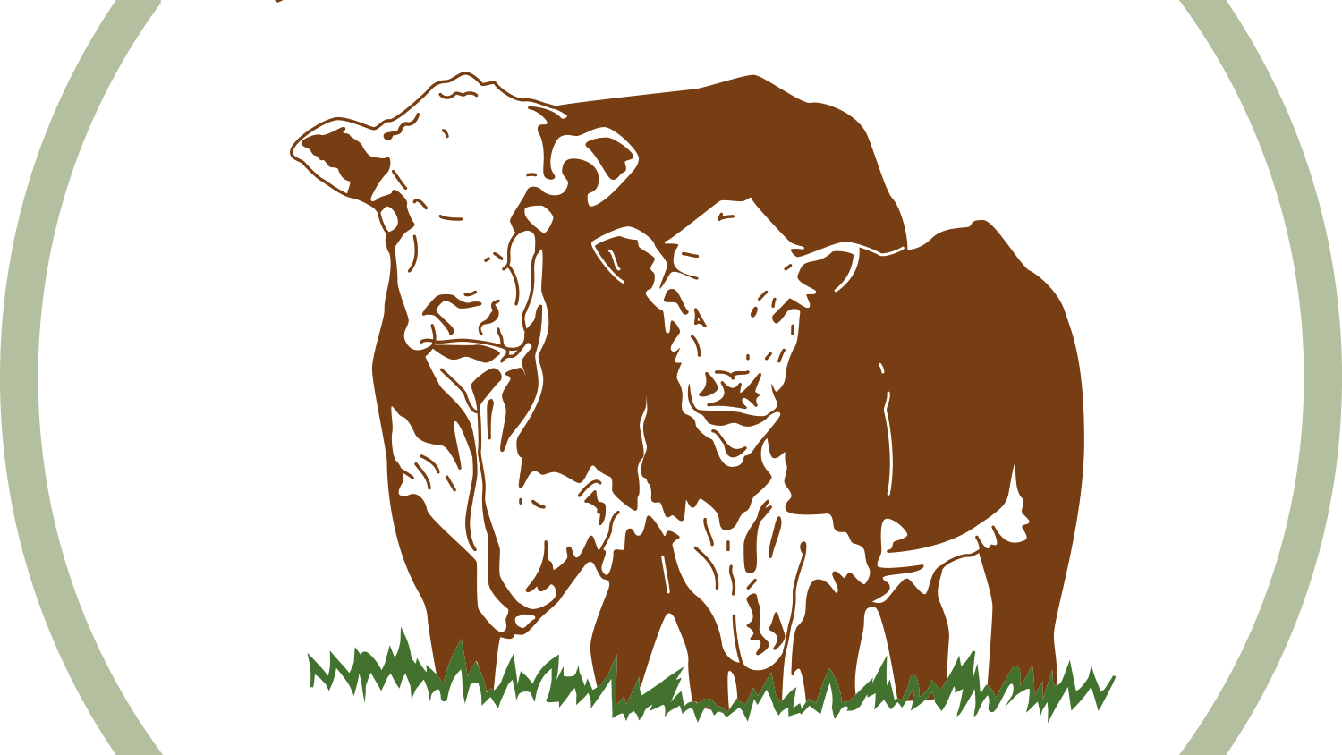 Suppenknochen / Soßenknochen 1 kg