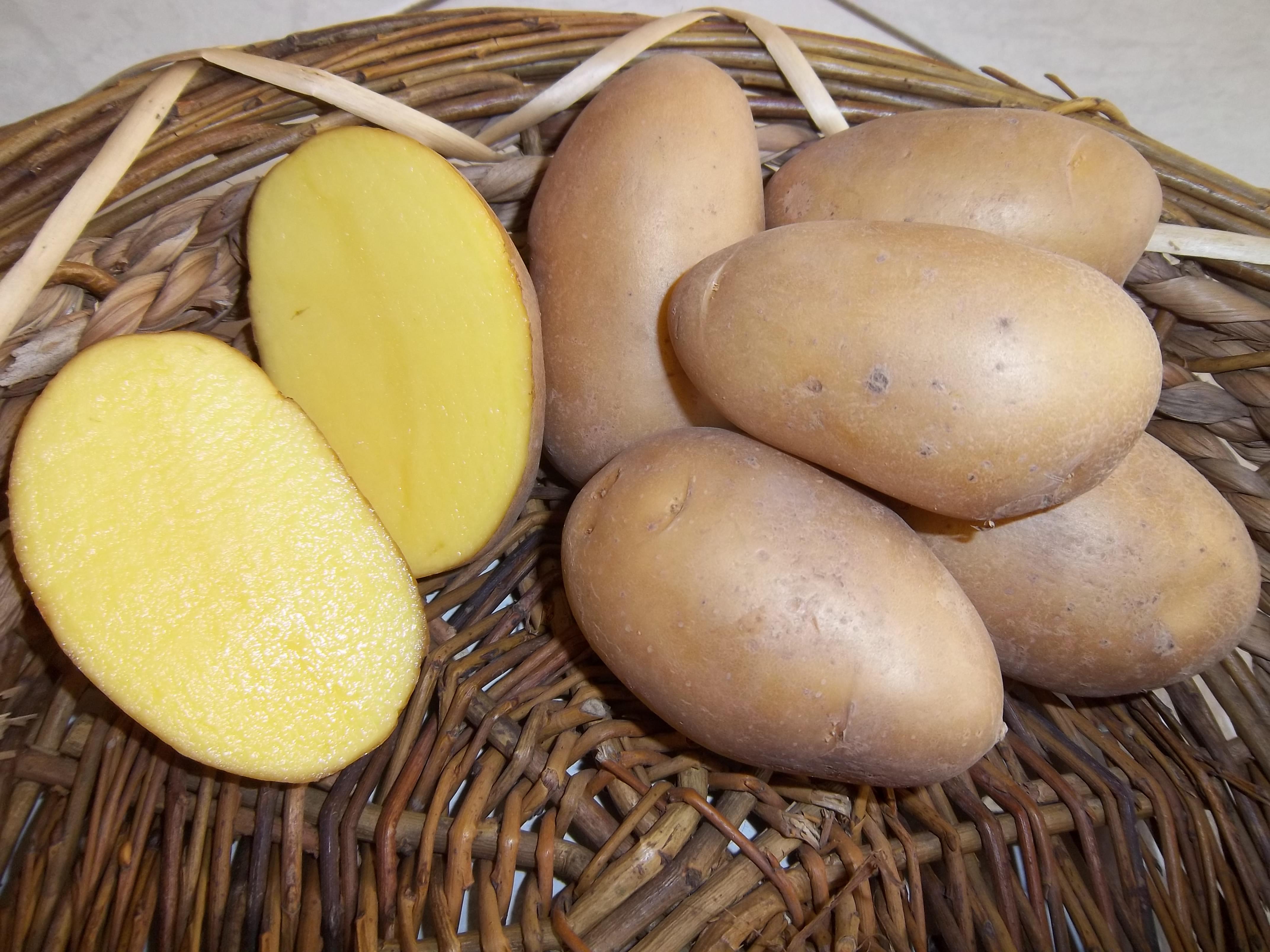 Kartoffelhof Bühler