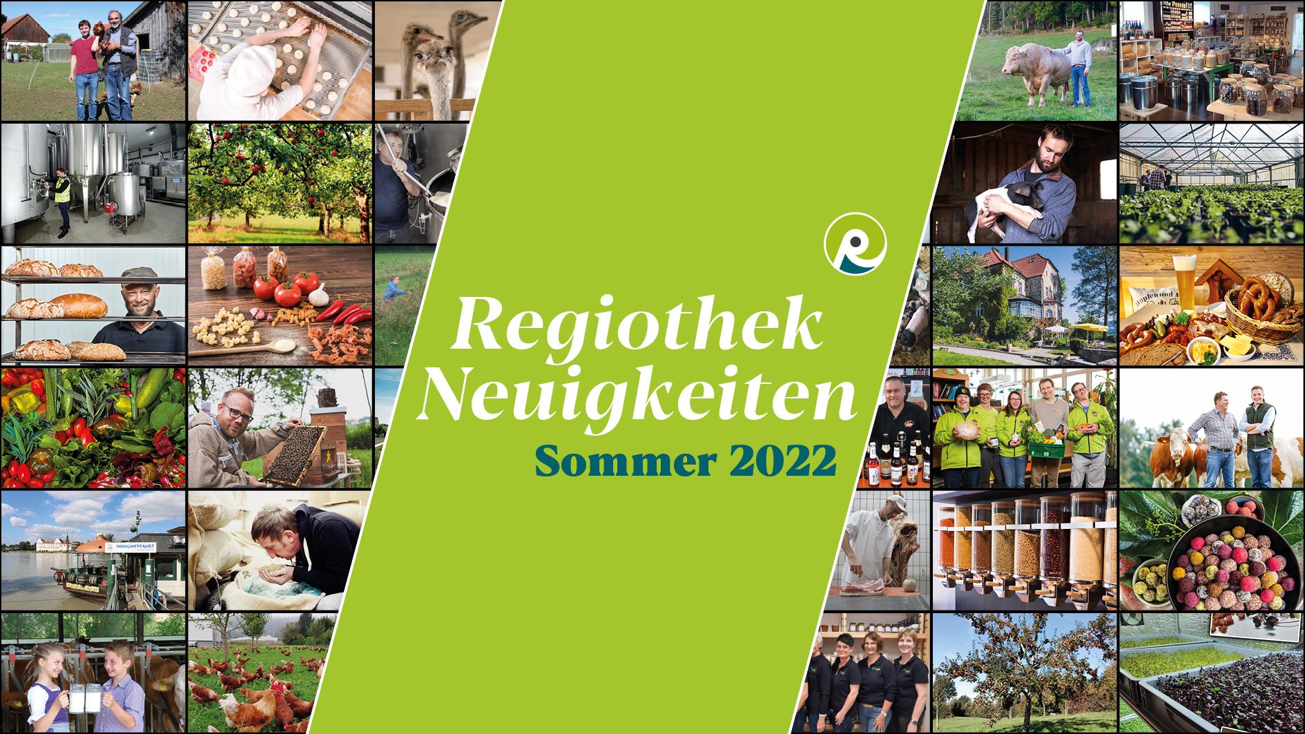 Text "Regiothek Neuigkeiten Sommer 2022" auf stilisiertem Hintergrund