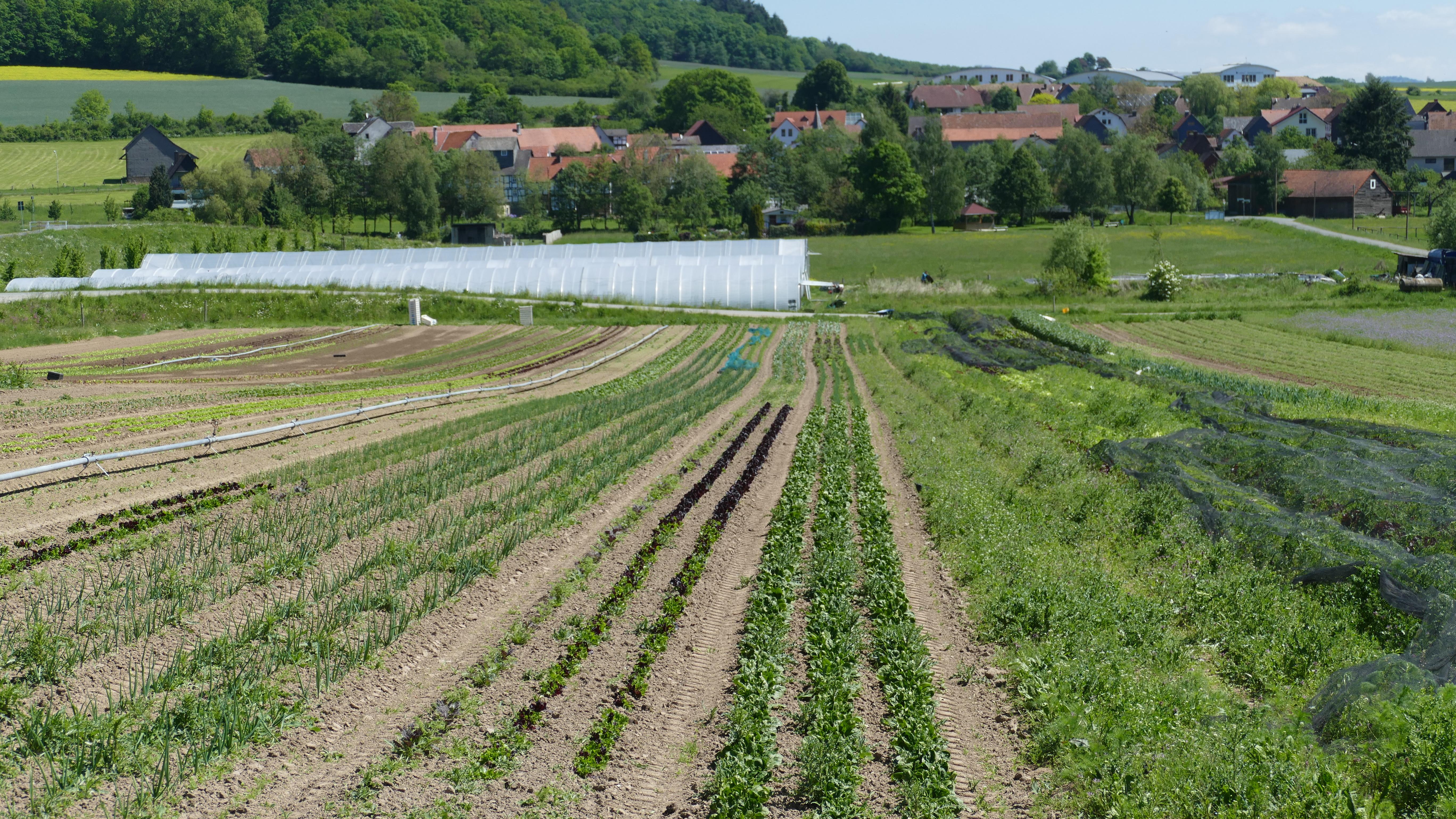 Caspersch Hof