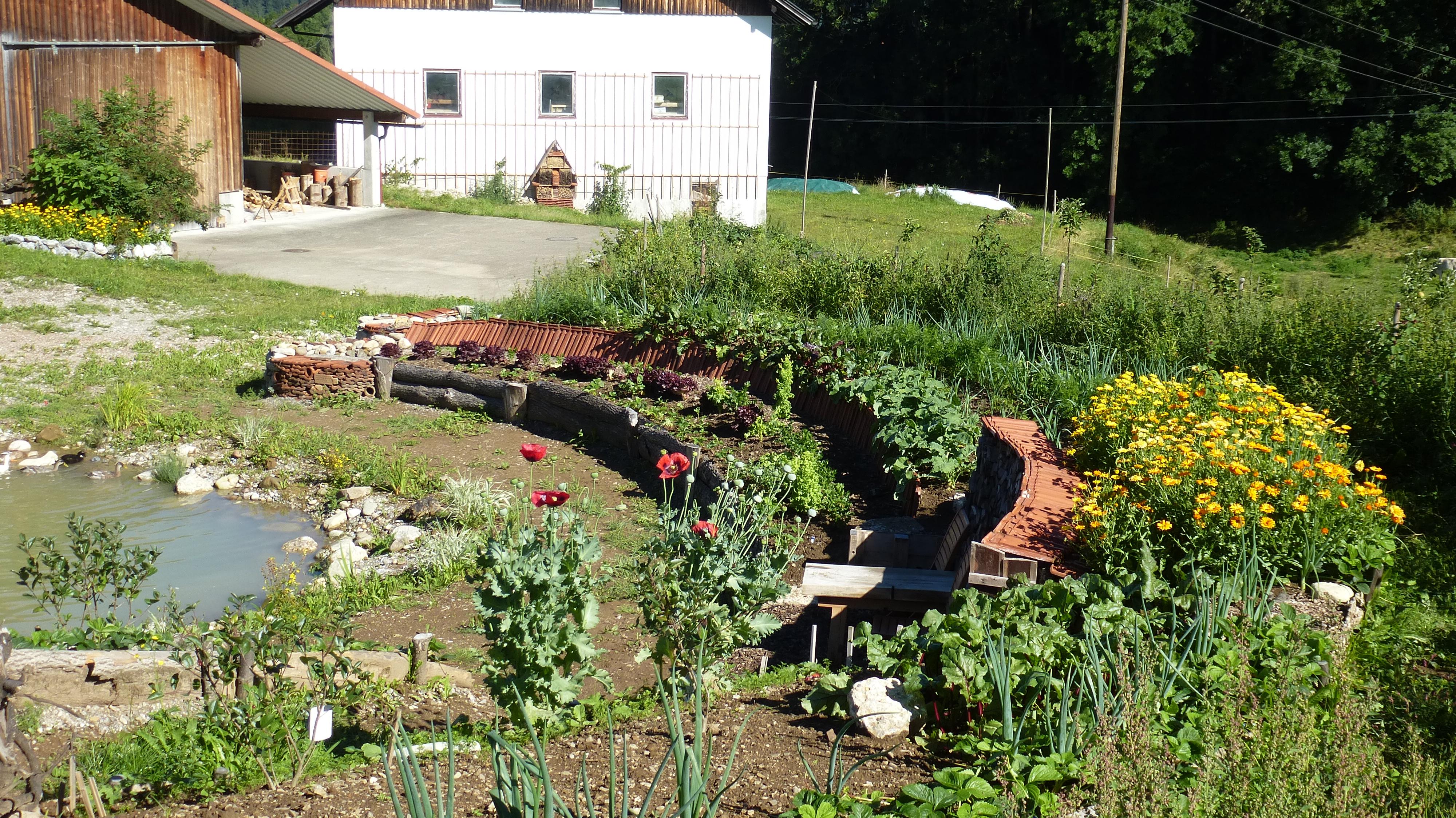 Permakultur-Mitmachgarten*
