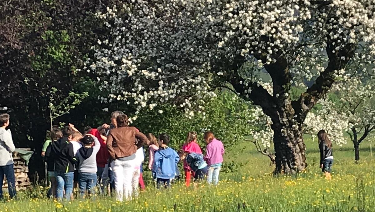 IG Bio-zertifiziertes Streuobst Lallinger Winkel IG Bio-zertifiziertes Streuobst Lallinger Winkel